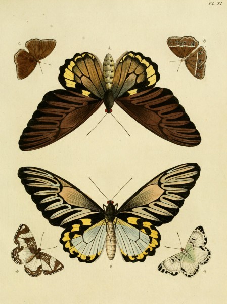 Cramer&Stoll-uitlandsche kapellen vol. 1- plate 011