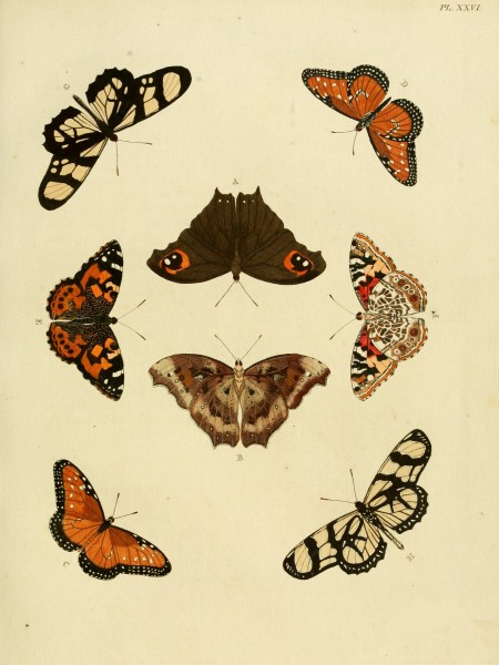 Cramer&Stoll-uitlandsche kapellen vol. 1- plate 026