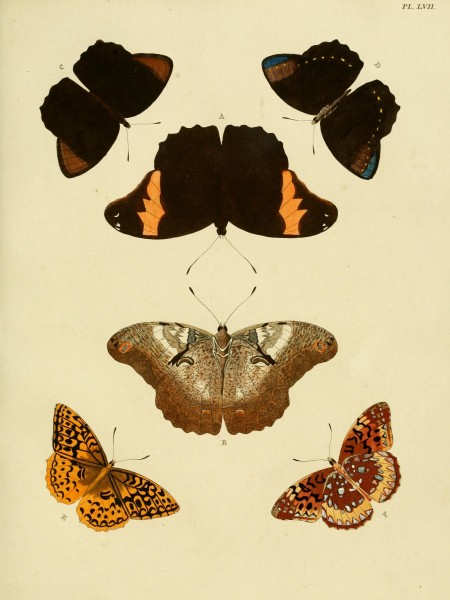 Cramer&Stoll-uitlandsche kapellen vol. 1- plate 057