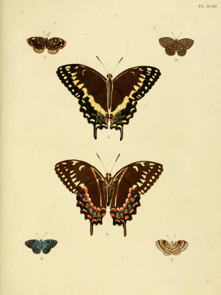 Cramer&Stoll-uitlandsche kapellen vol. 1- plate 093