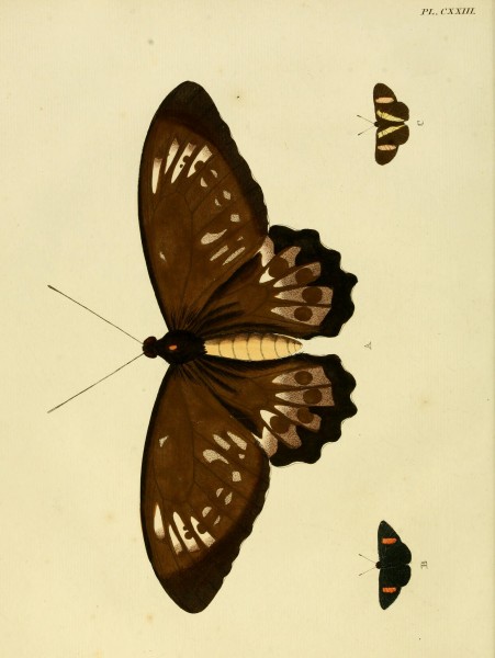 Cramer&Stoll-uitlandsche kapellen vol. 2- plate 123