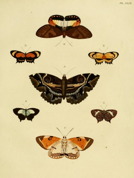CramerAndStoll-uitlandsche kapellen vol. 2- plate 159