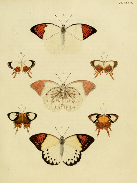 CramerAndStoll-uitlandsche kapellen vol. 2- plate 164