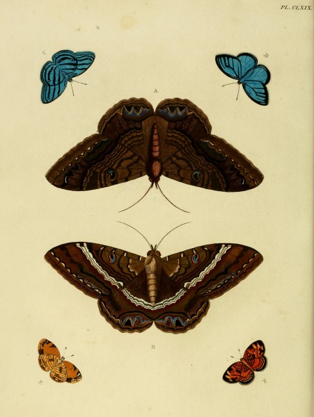 CramerAndStoll-uitlandsche kapellen vol. 2- plate 169