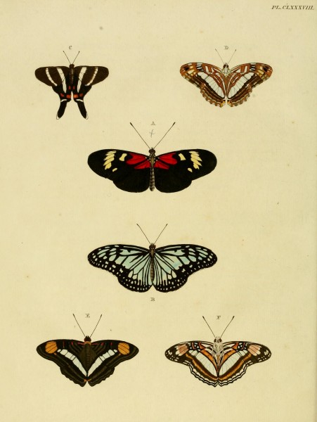 CramerAndStoll-uitlandsche kapellen vol. 2- plate 188