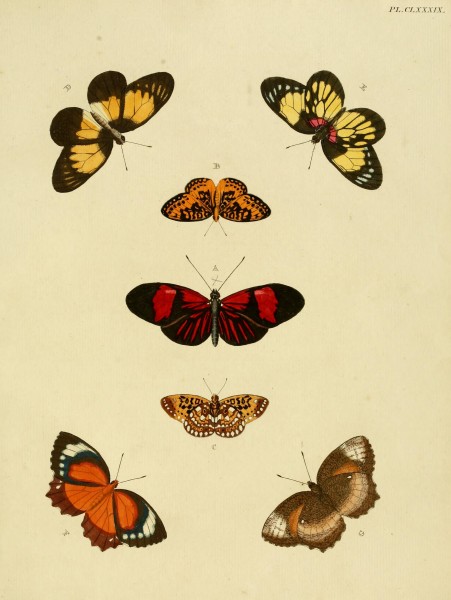 CramerAndStoll-uitlandsche kapellen vol. 2- plate 189