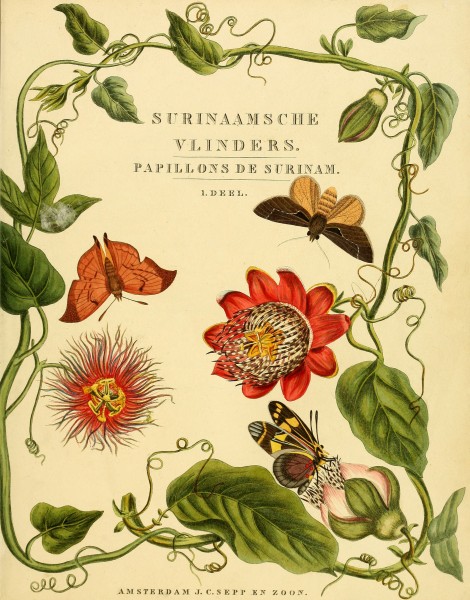 Sepp-Surinaamsche vlinders - Title page
