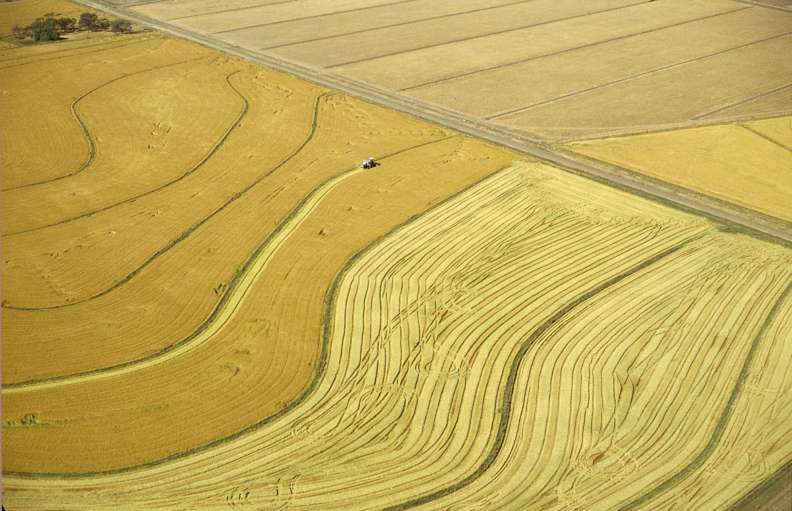 CSIRO ScienceImage 4717 Aerial view of rice harvesting in the Murrumbidgee Irrigation Area