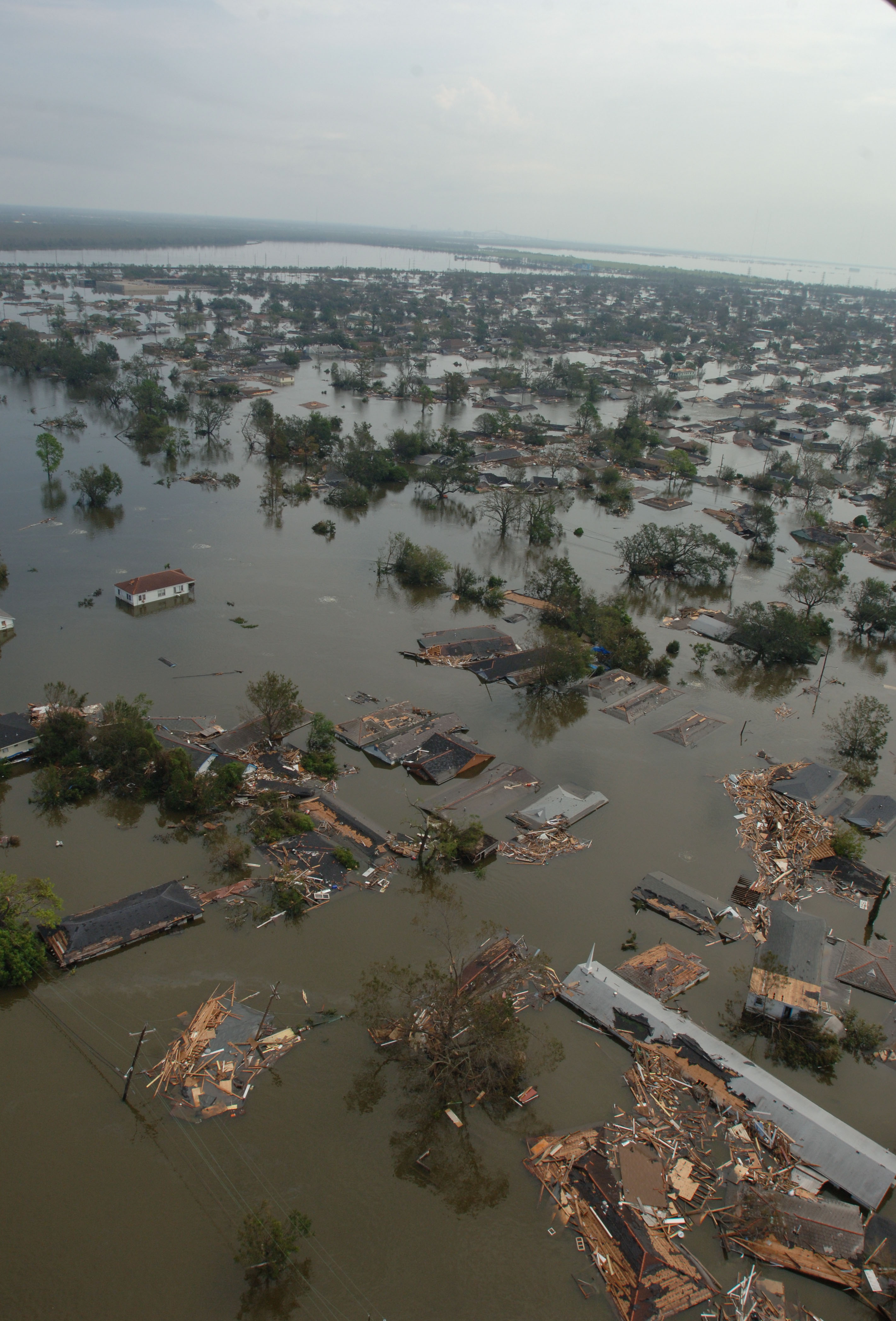 FEMA - 14963 - Photograph by Jocelyn Augustino taken on 08-30-2005 in Louisiana