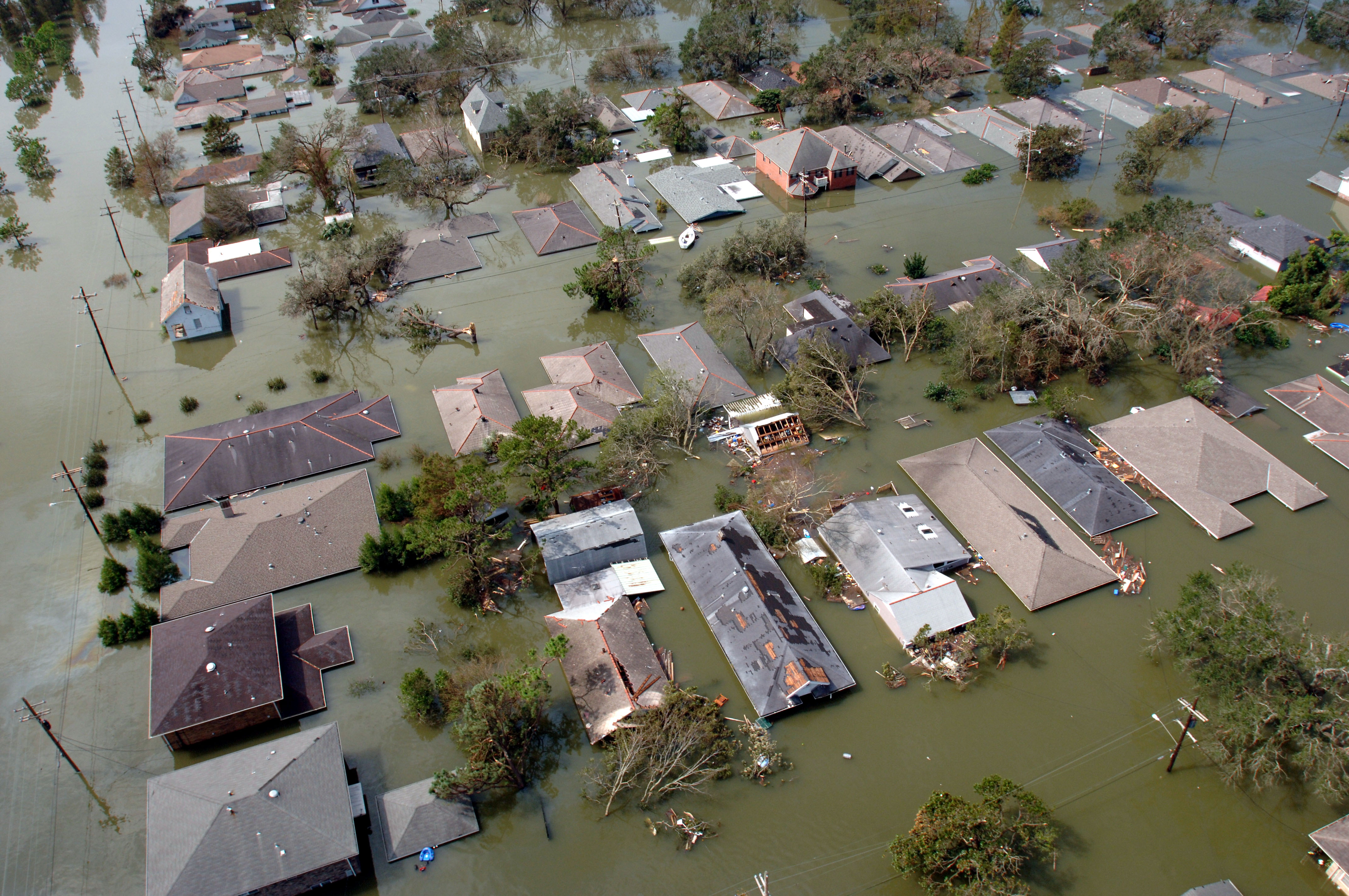 FEMA - 15008 - Photograph by Jocelyn Augustino taken on 08-30-2005 in Louisiana