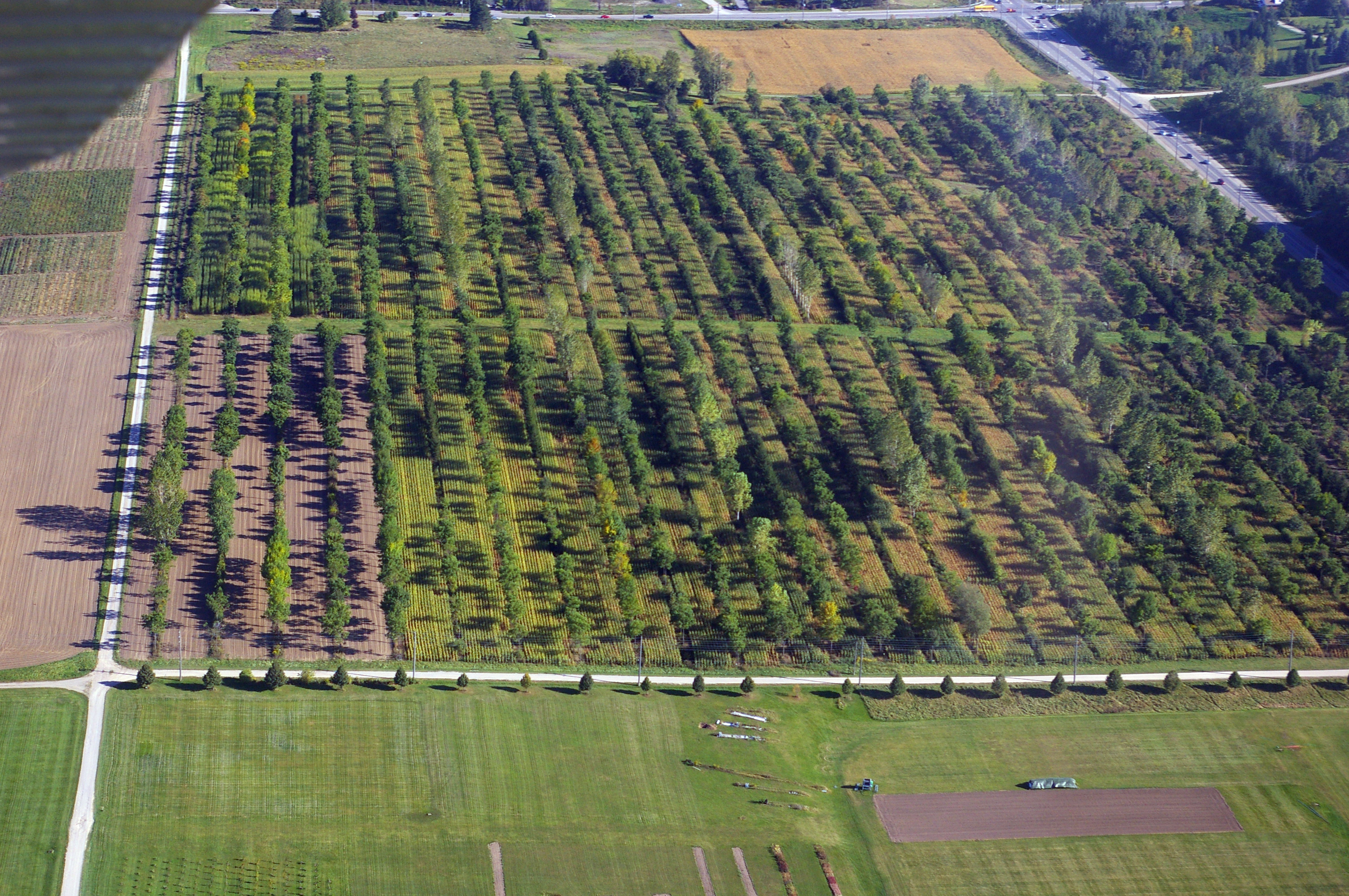 Guelph aerial, alley cropping (25709115443)