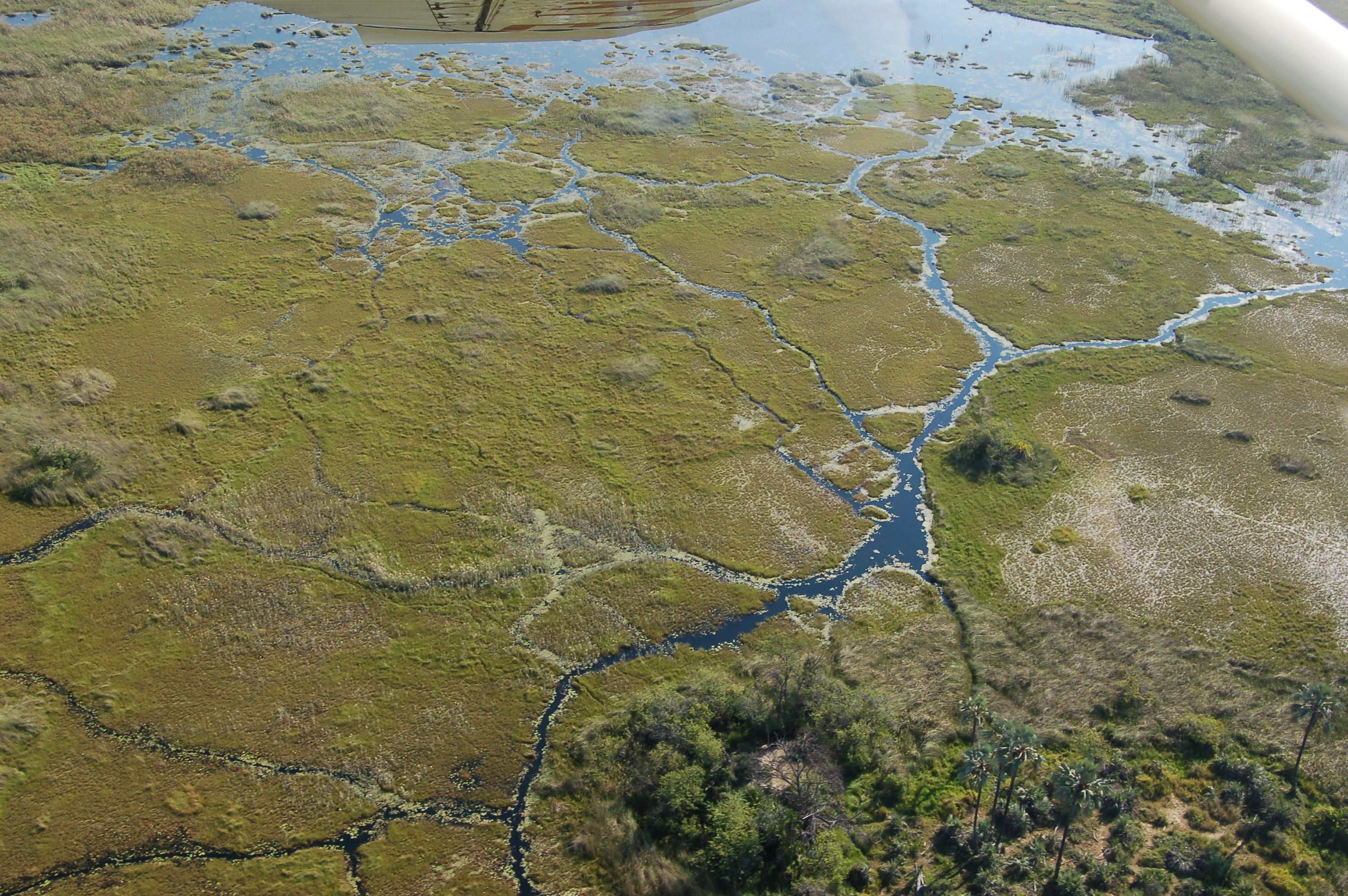 Okavango Delta, Botswana (2675200210)
