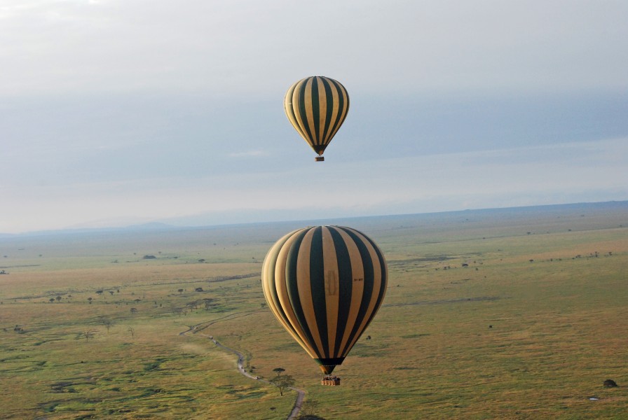 Balloon Safari 2012 06 01 3116 (7522682136)