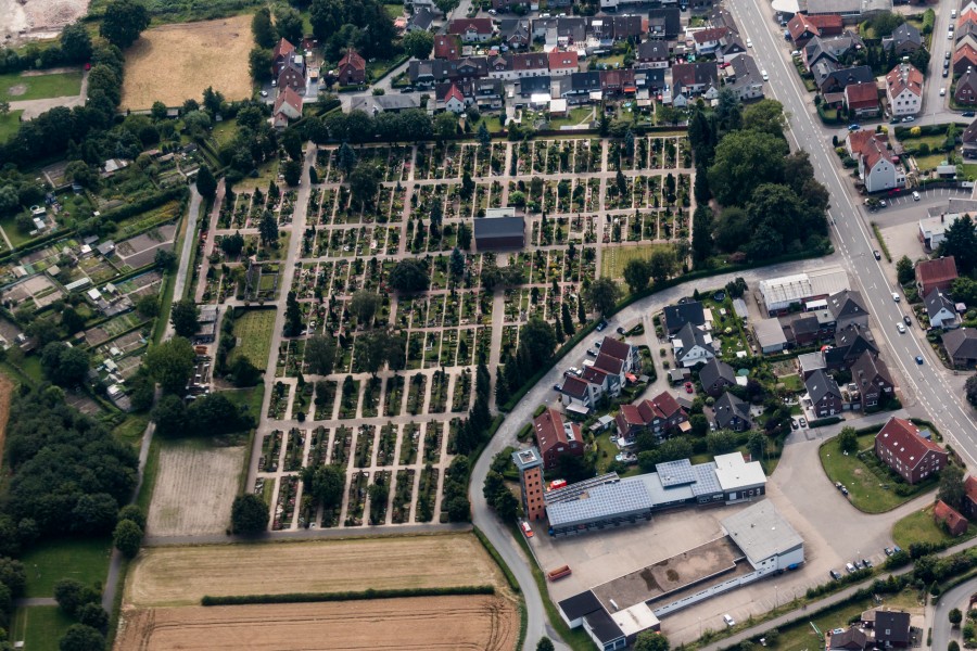 Burgsteinfurt, Friedhof -- 2014 -- 2478