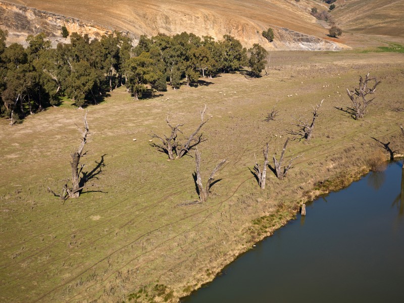 CSIRO ScienceImage 11535 Rural landscape