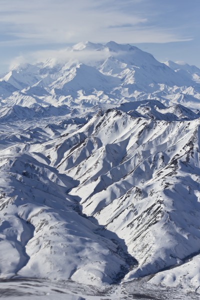 Denali and Range from Air Portrait (6919177378)