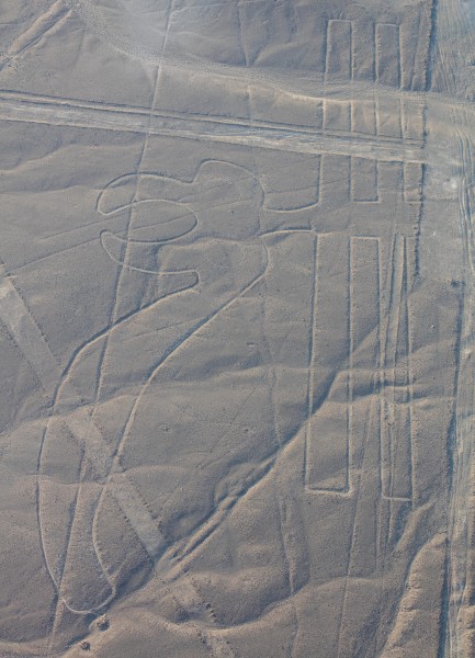 Líneas de Nazca, Nazca, Perú, 2015-07-29, DD 63
