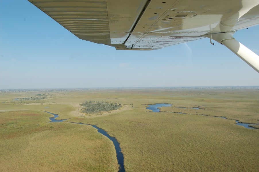 Okavango Delta, Botswana (2674383803)