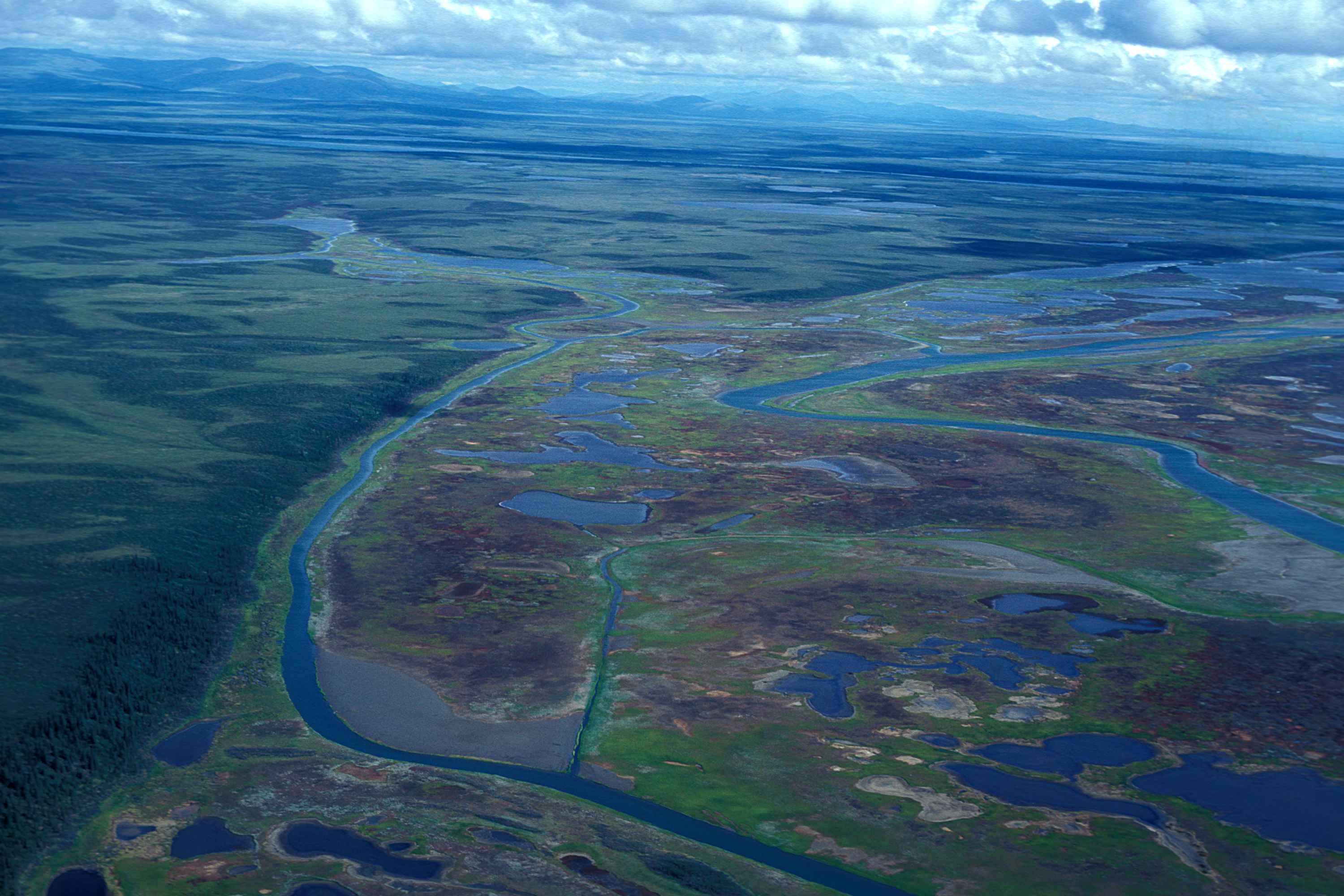 River delta swamp aerial view