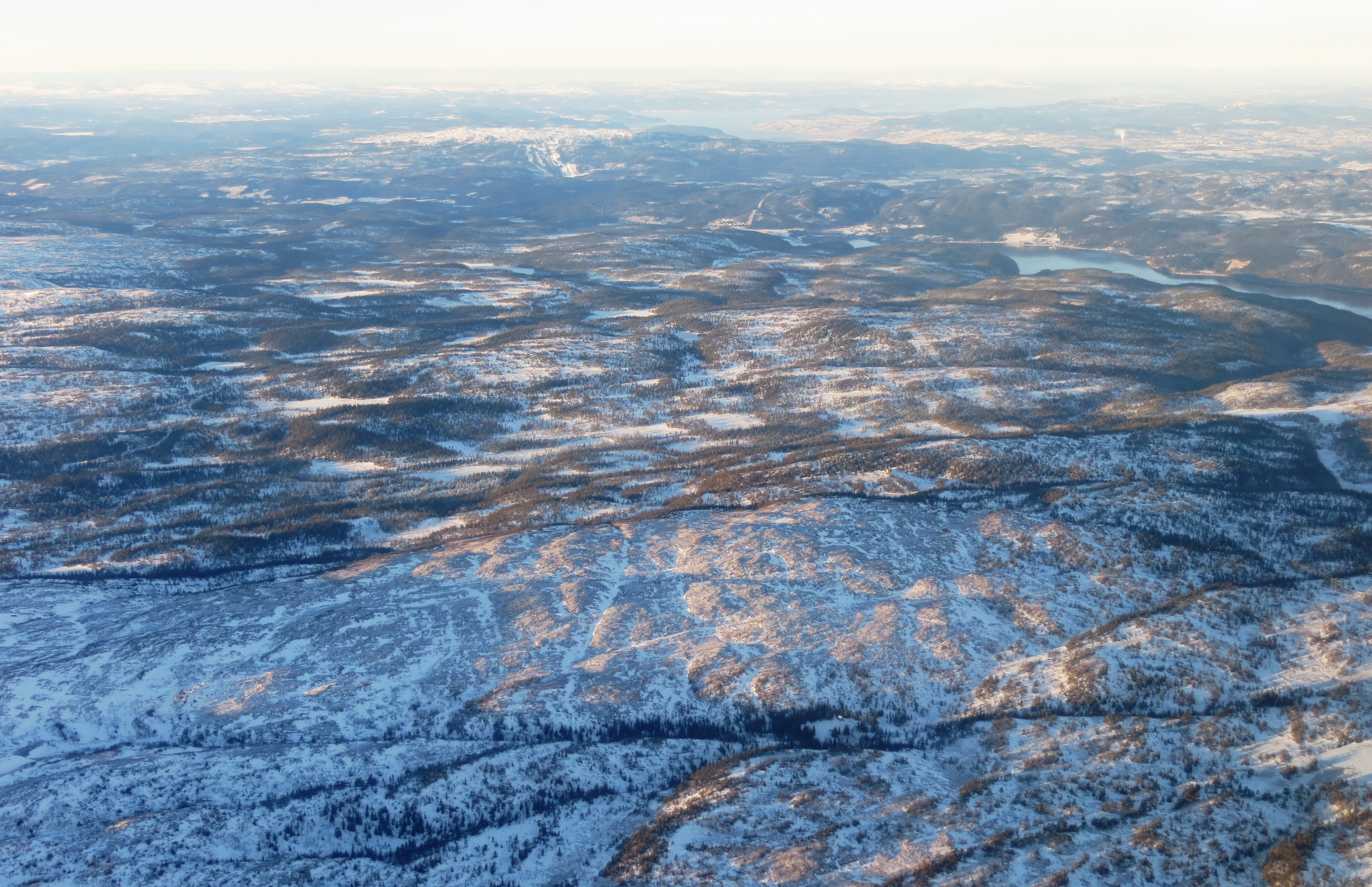 Selbu Vassfjellet IMG 4555