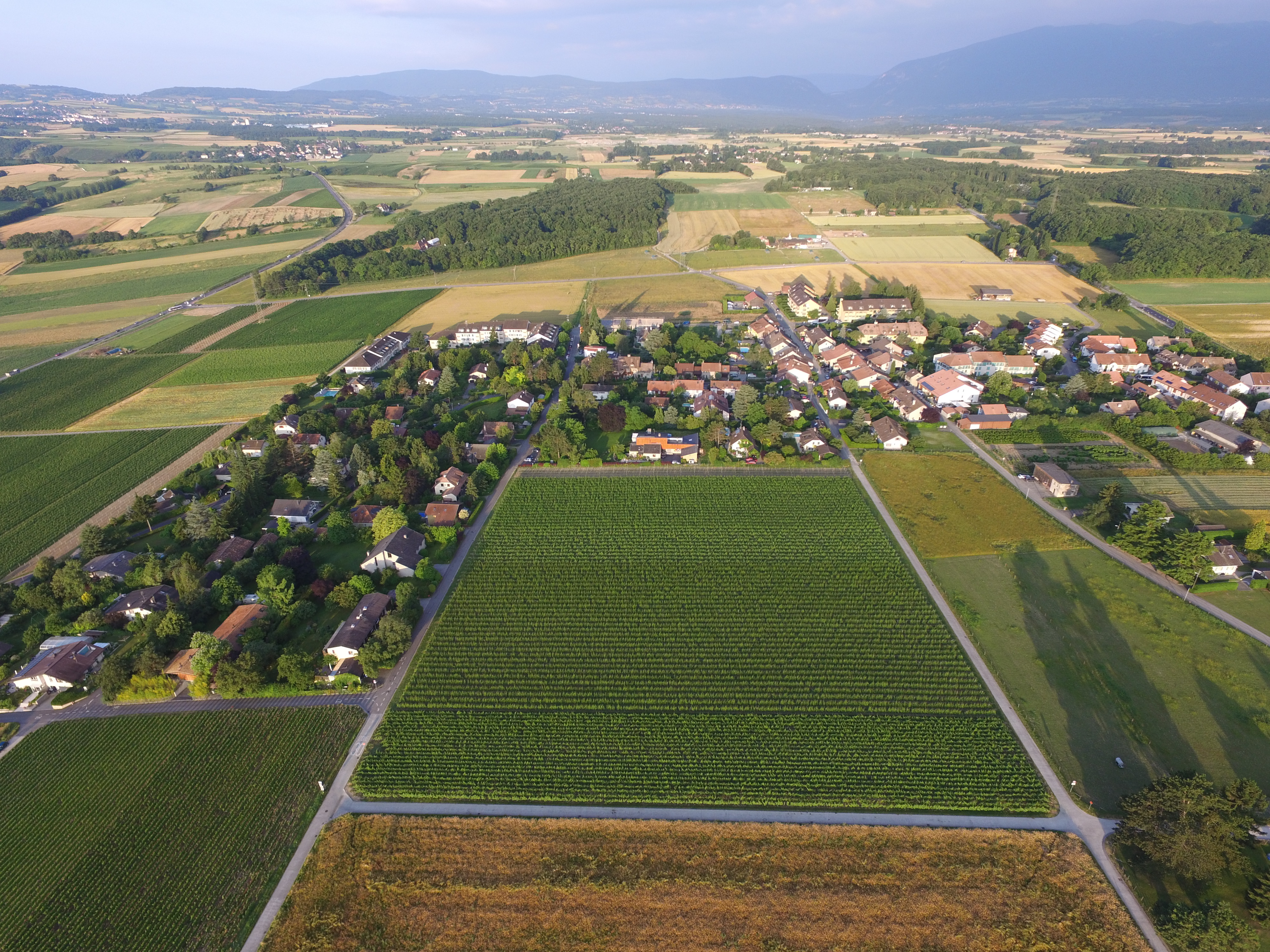 Sezenove-aerial-5