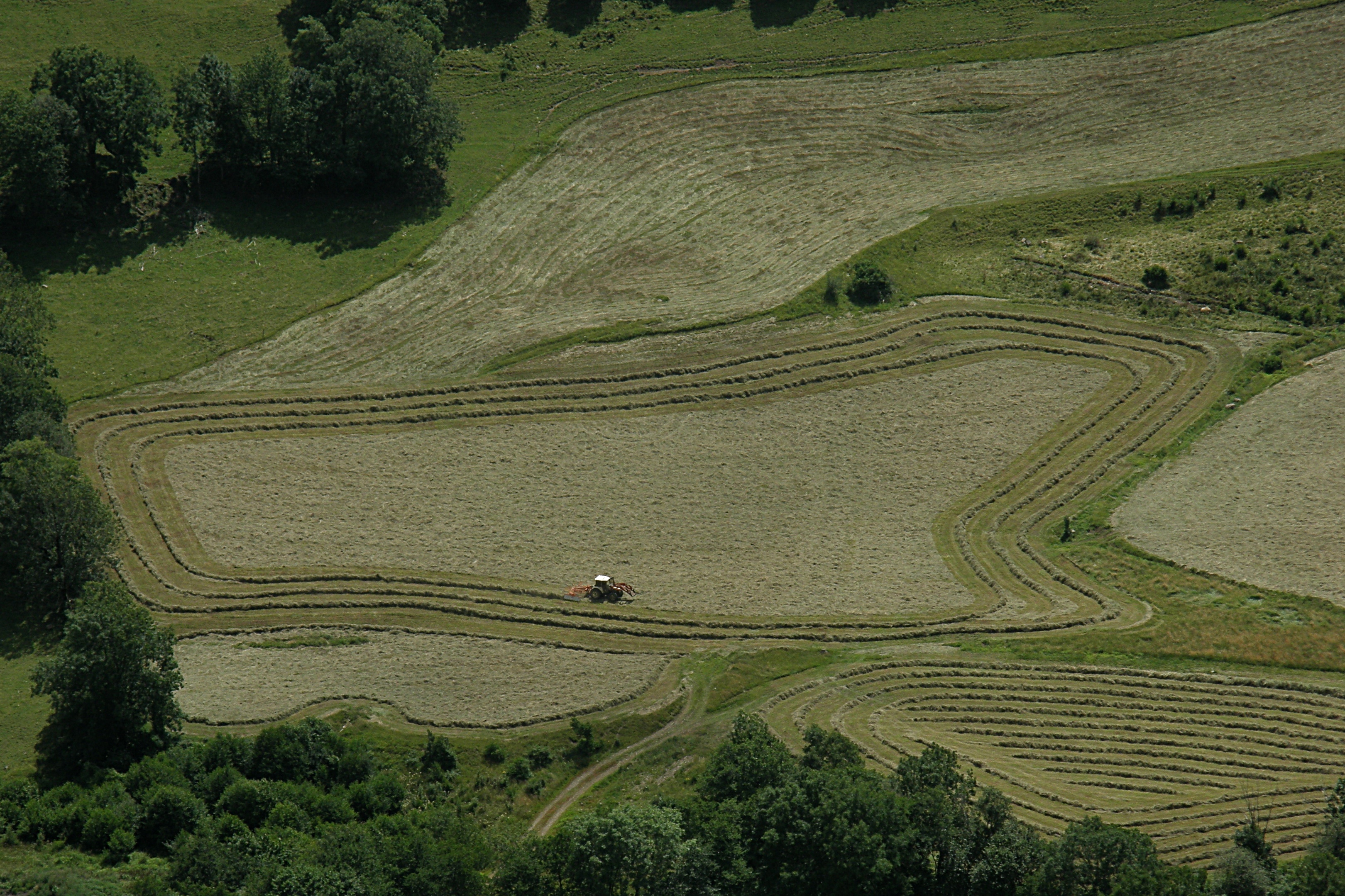 Vallée de la Maronne, fenaison