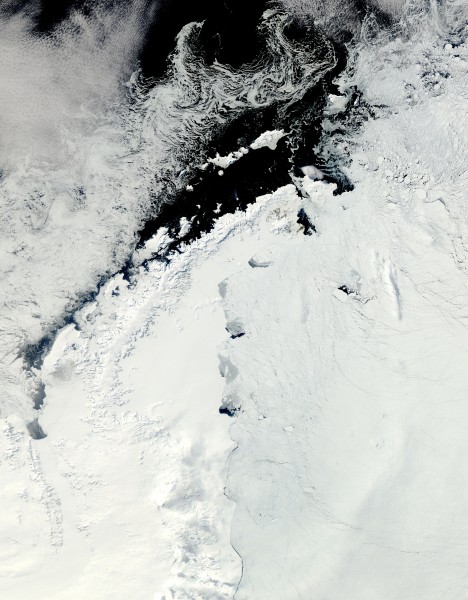 Antarctic Peninsula, the Larsen Ice Shelf, and the sea ice covered waters around the region