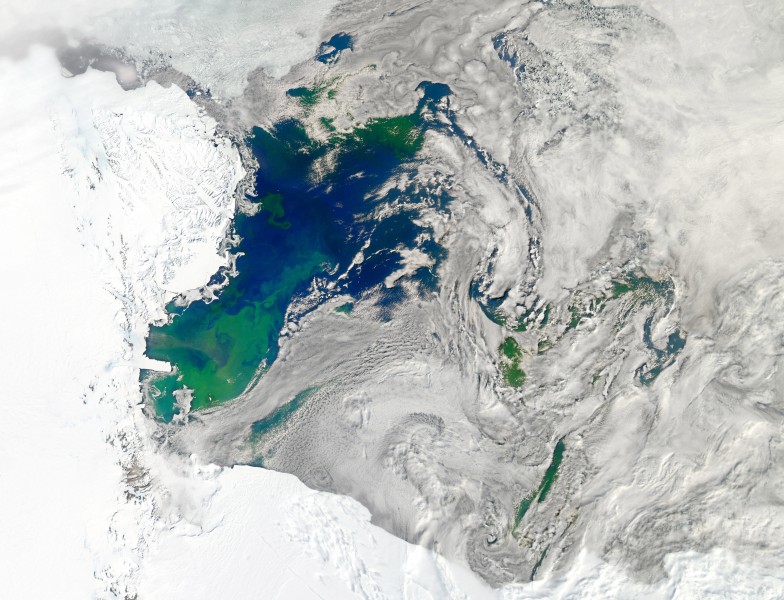 Bloom in the Ross Sea (6876655363)