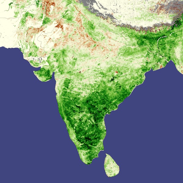 India vegetation, natural and cultivated, favorable weather boosts Indian agriculture, April 2008