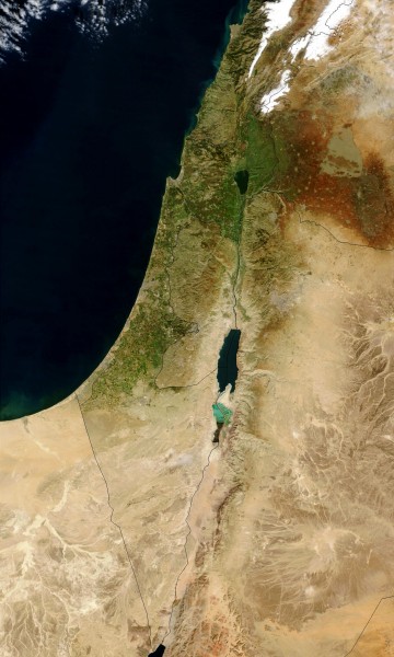 Satellite image of Israel in January 2003