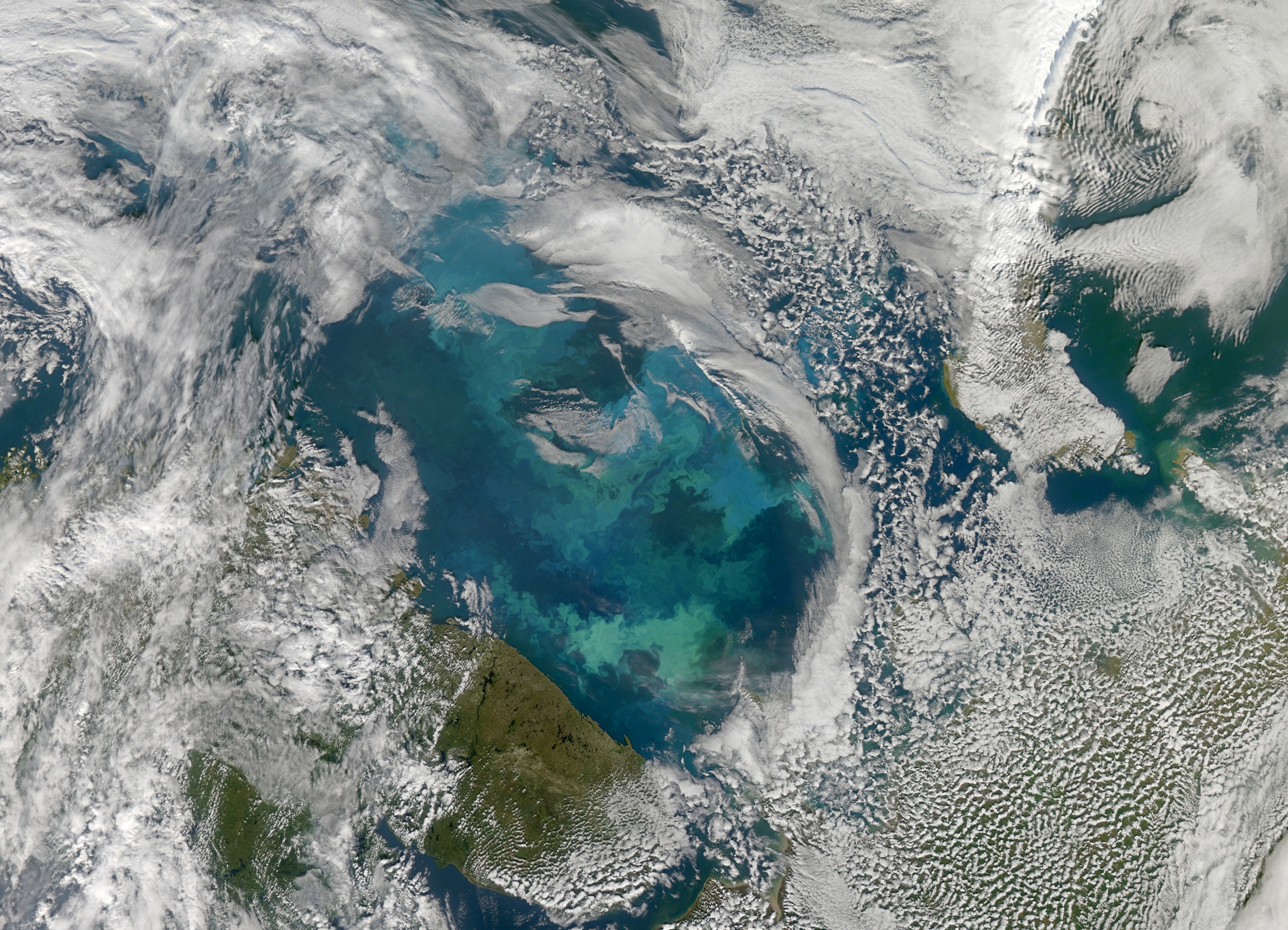 Phytoplankton Bloom in the Barents Sea