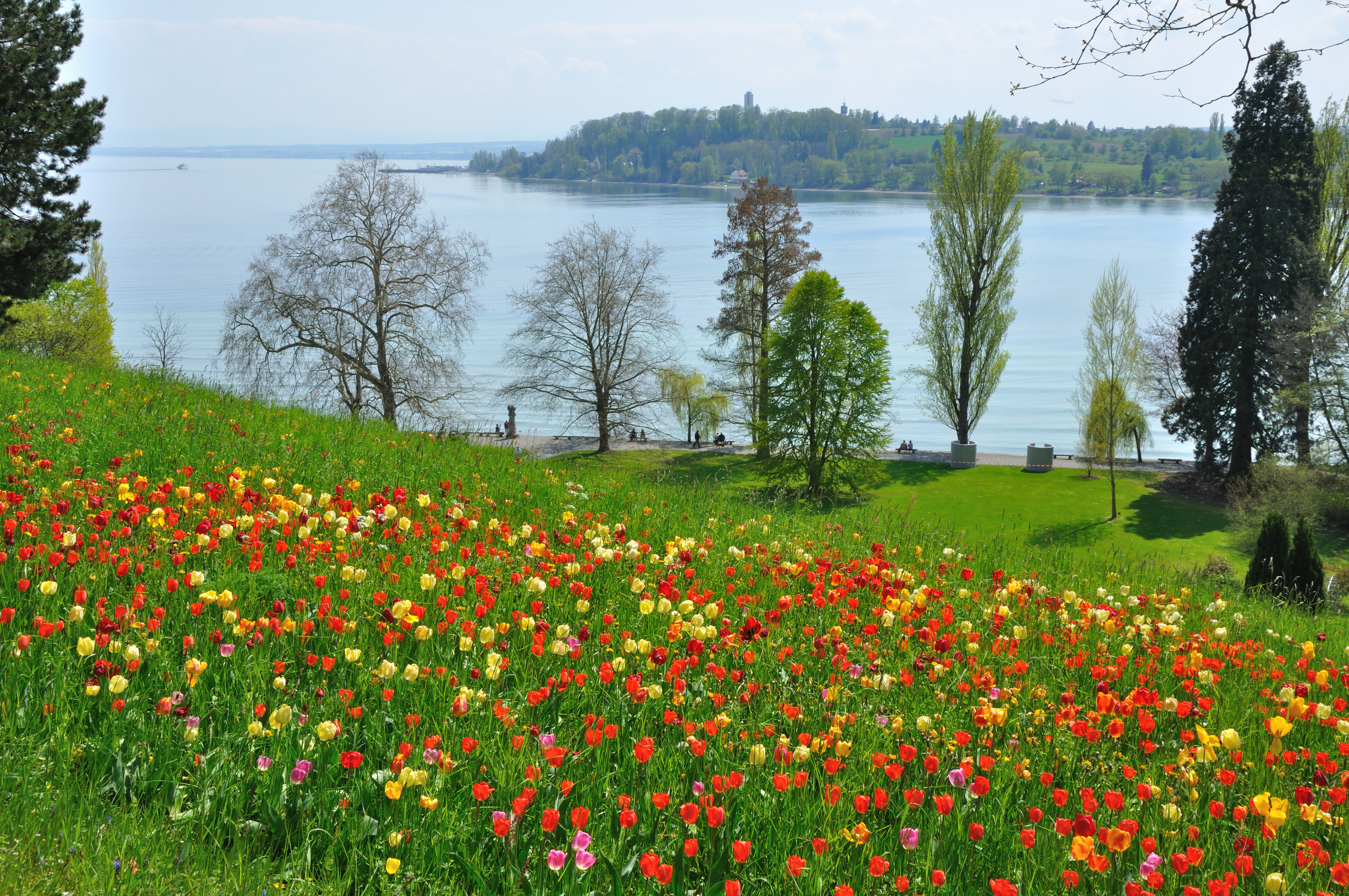 2010-04-27 14 03 44 Germany Konstanz Egg