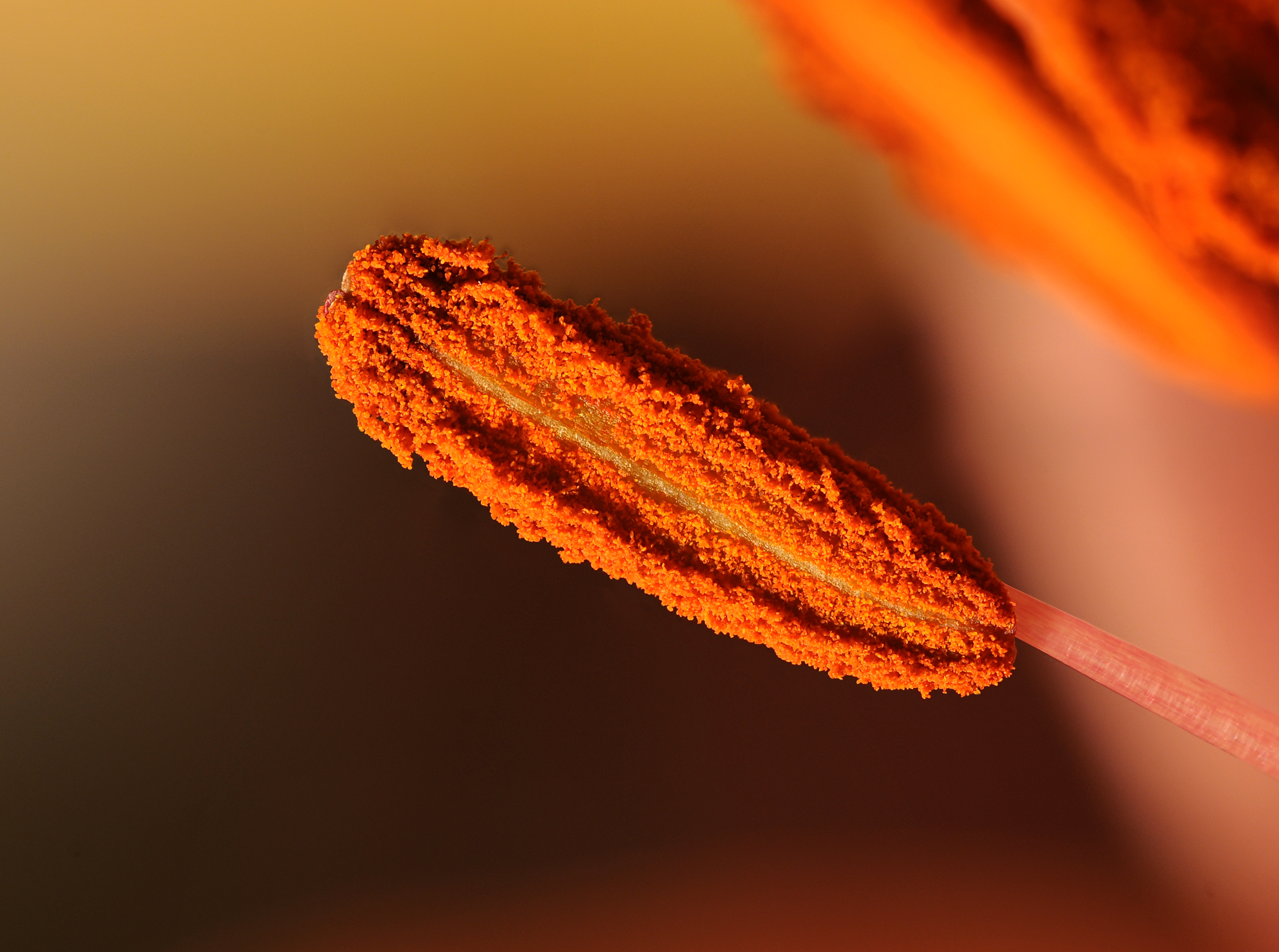 2012-01-04 17-57-36-lys