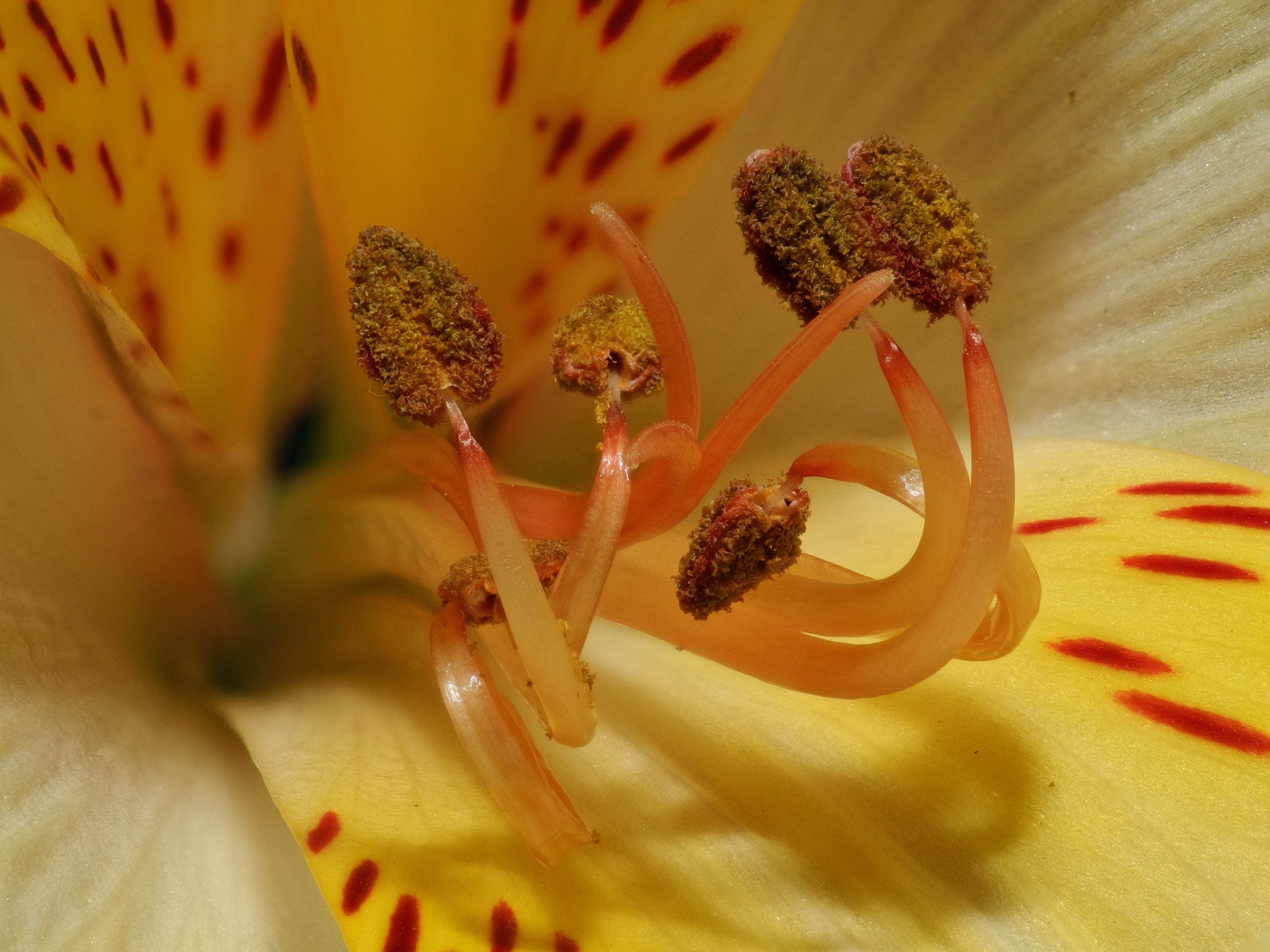 2014-03-05 12-28-09 fleur-22f