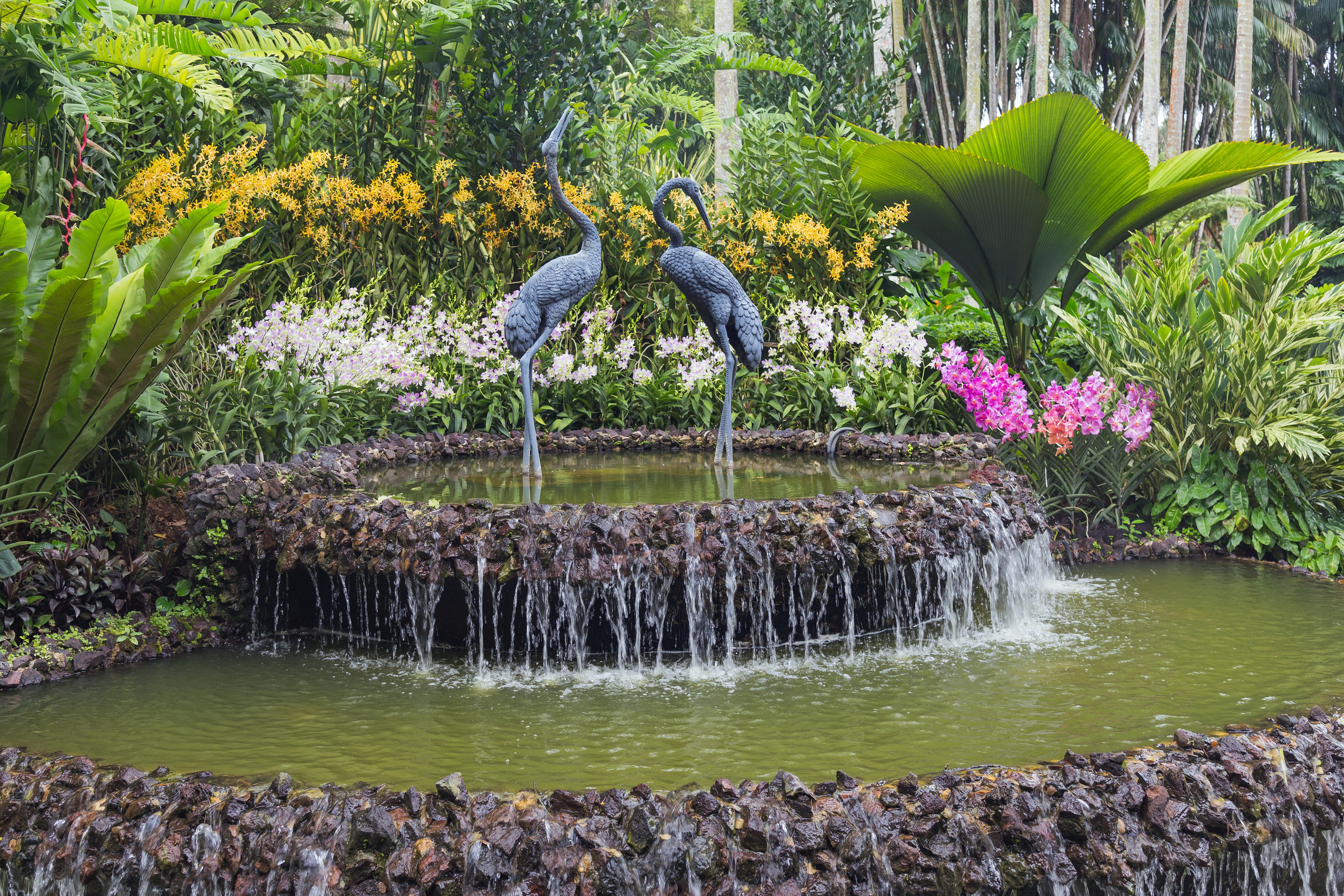 2016 Singapur, Ogrody botaniczne (261)