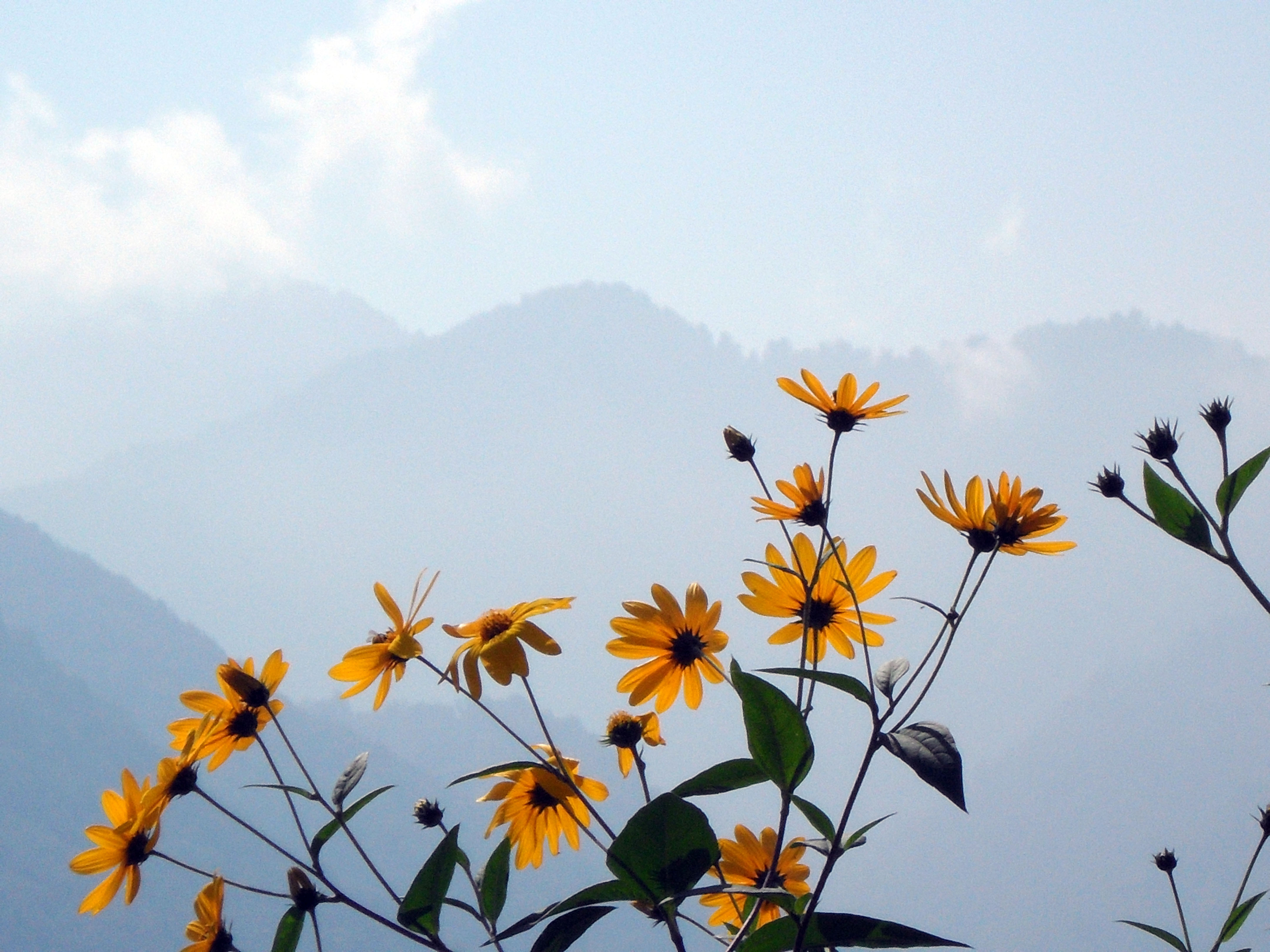 Chaboksar, Gilan, Iran - panoramio