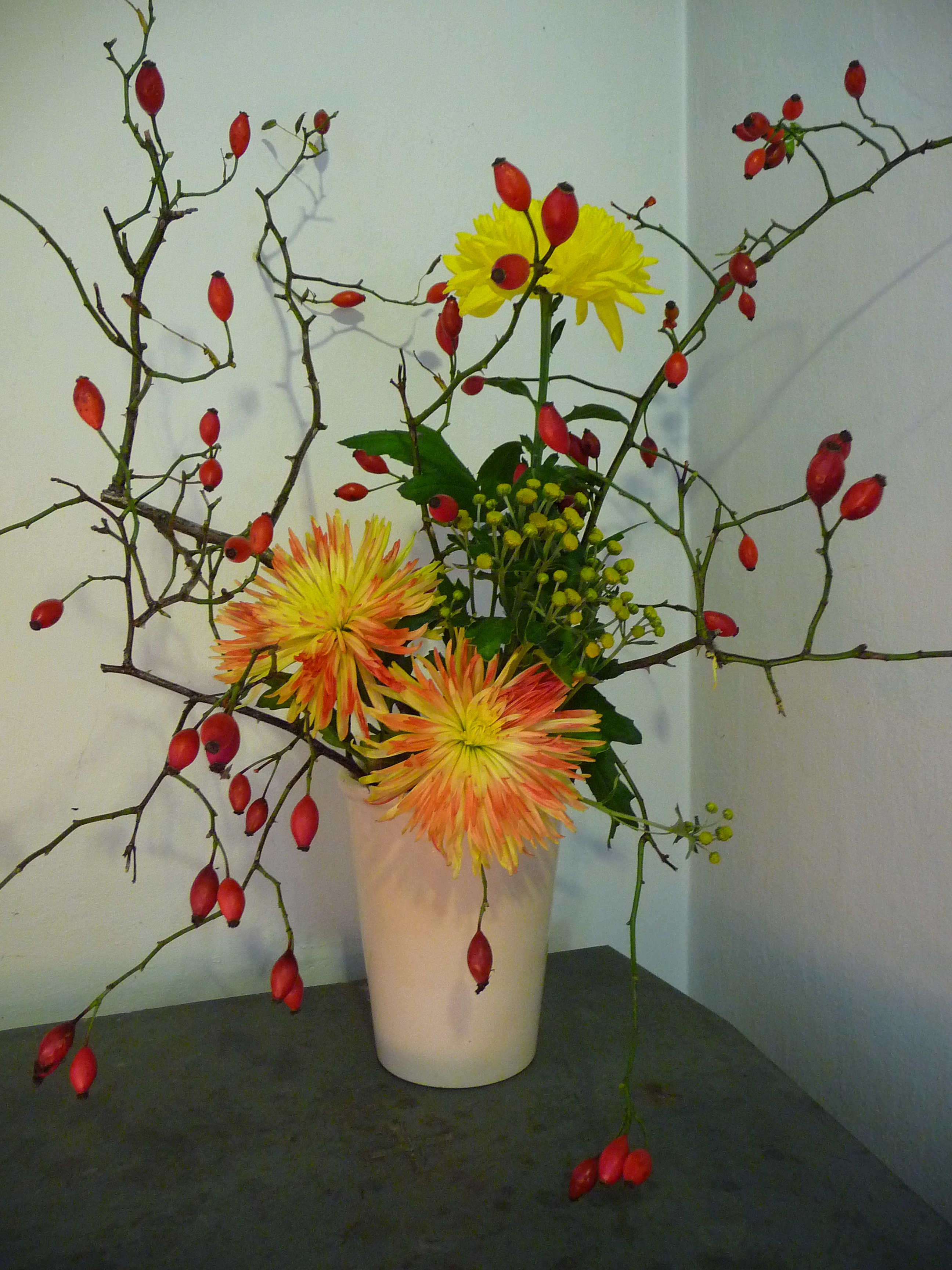 Dahlie mit Hundsrosenhagebutten flowers