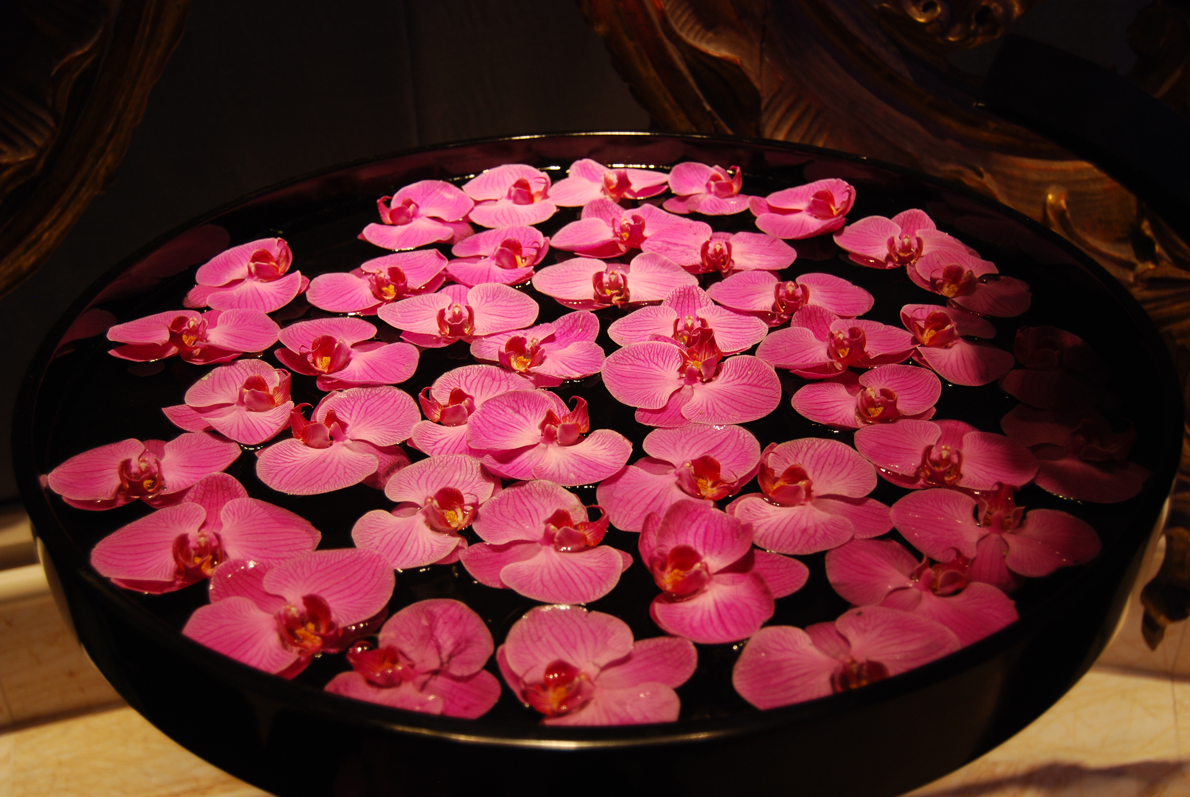 EM WYNN RESORT (2845057054)