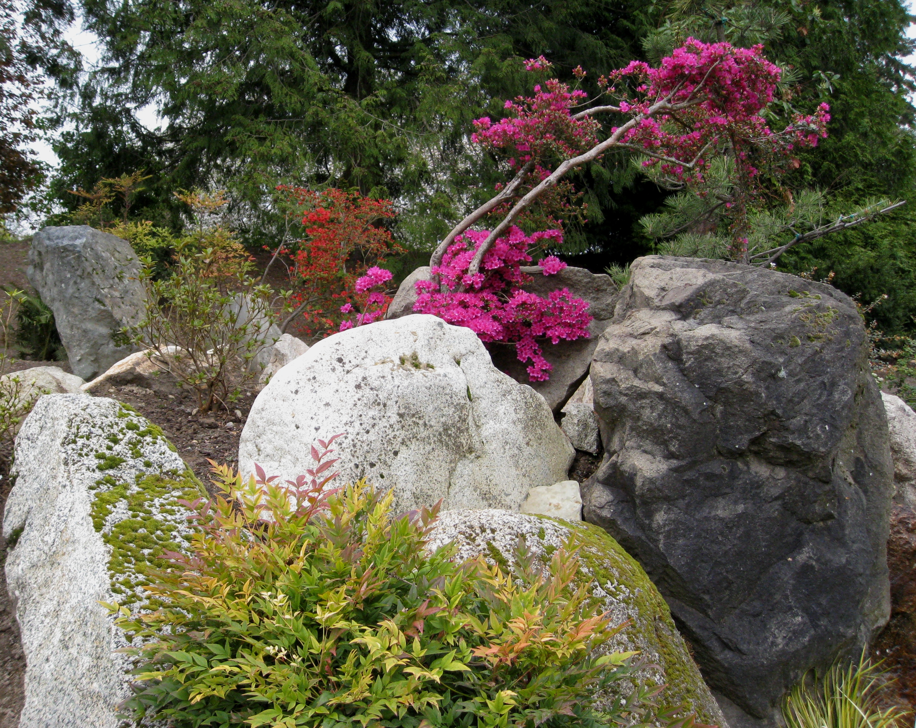 Flickr - brewbooks - Seike Japanese Garden