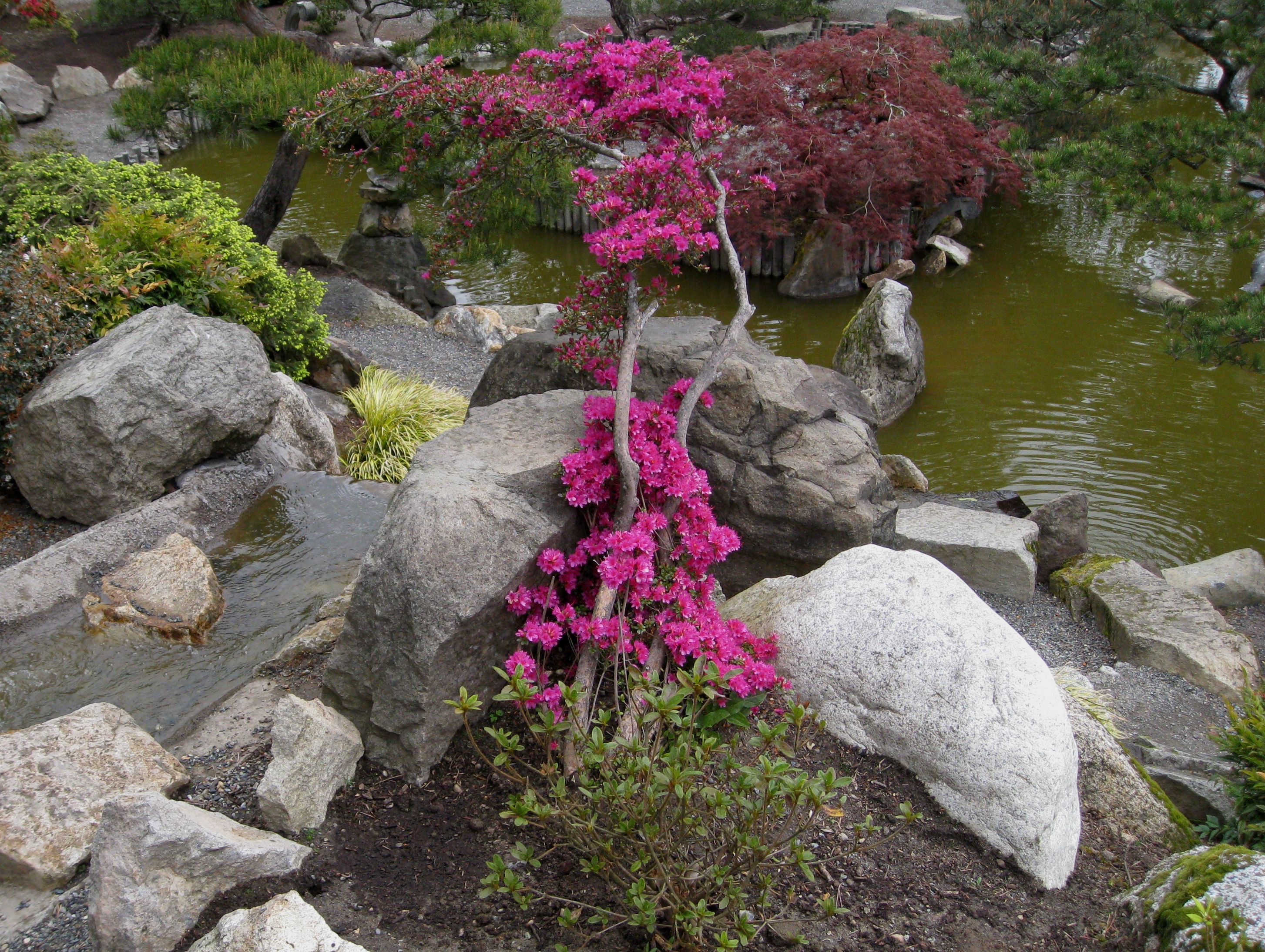 Flickr - brewbooks - Seike Japanese Garden (2)