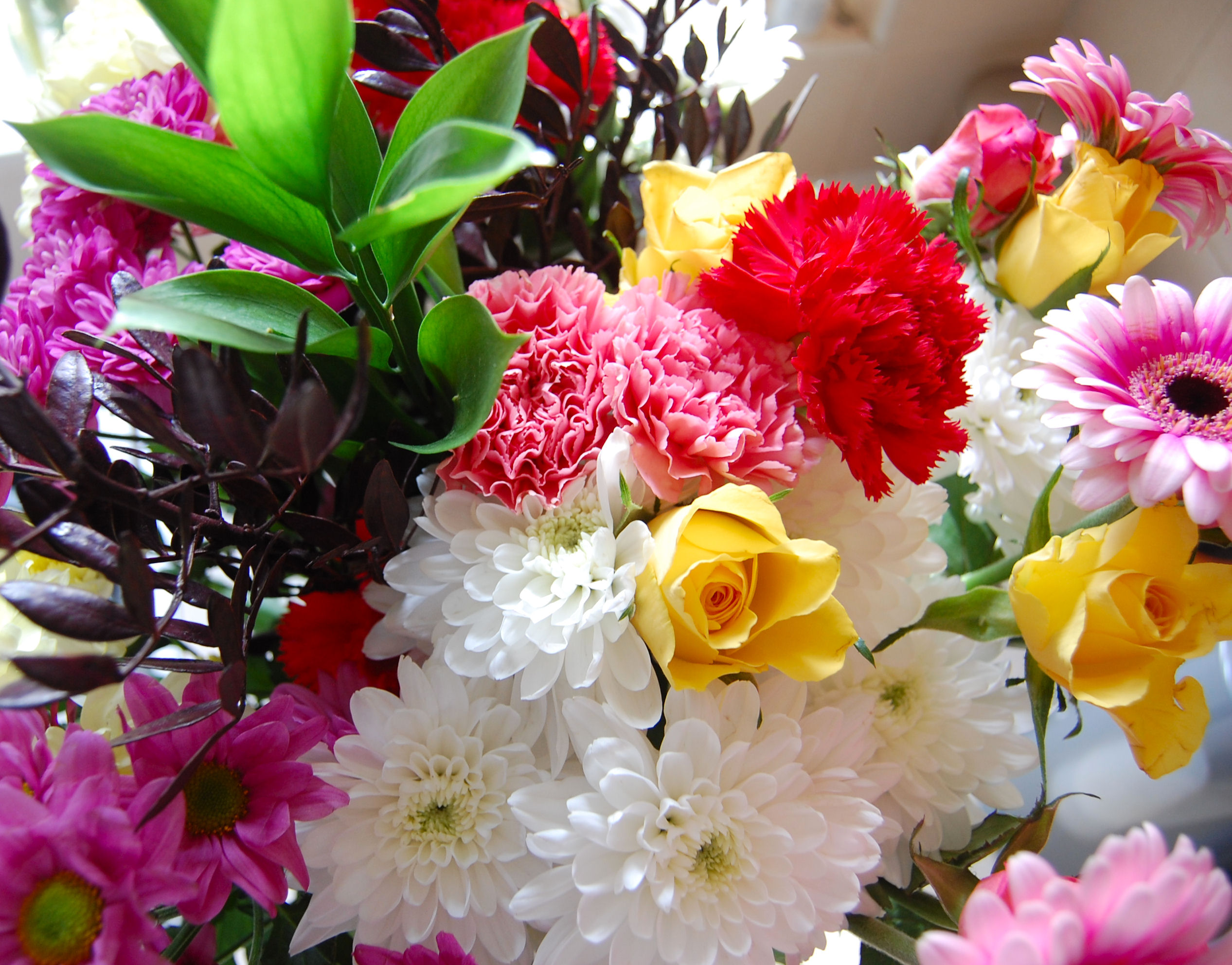 Flickr - ronsaunders47 - BEAUTIFUL BLOOMS..
