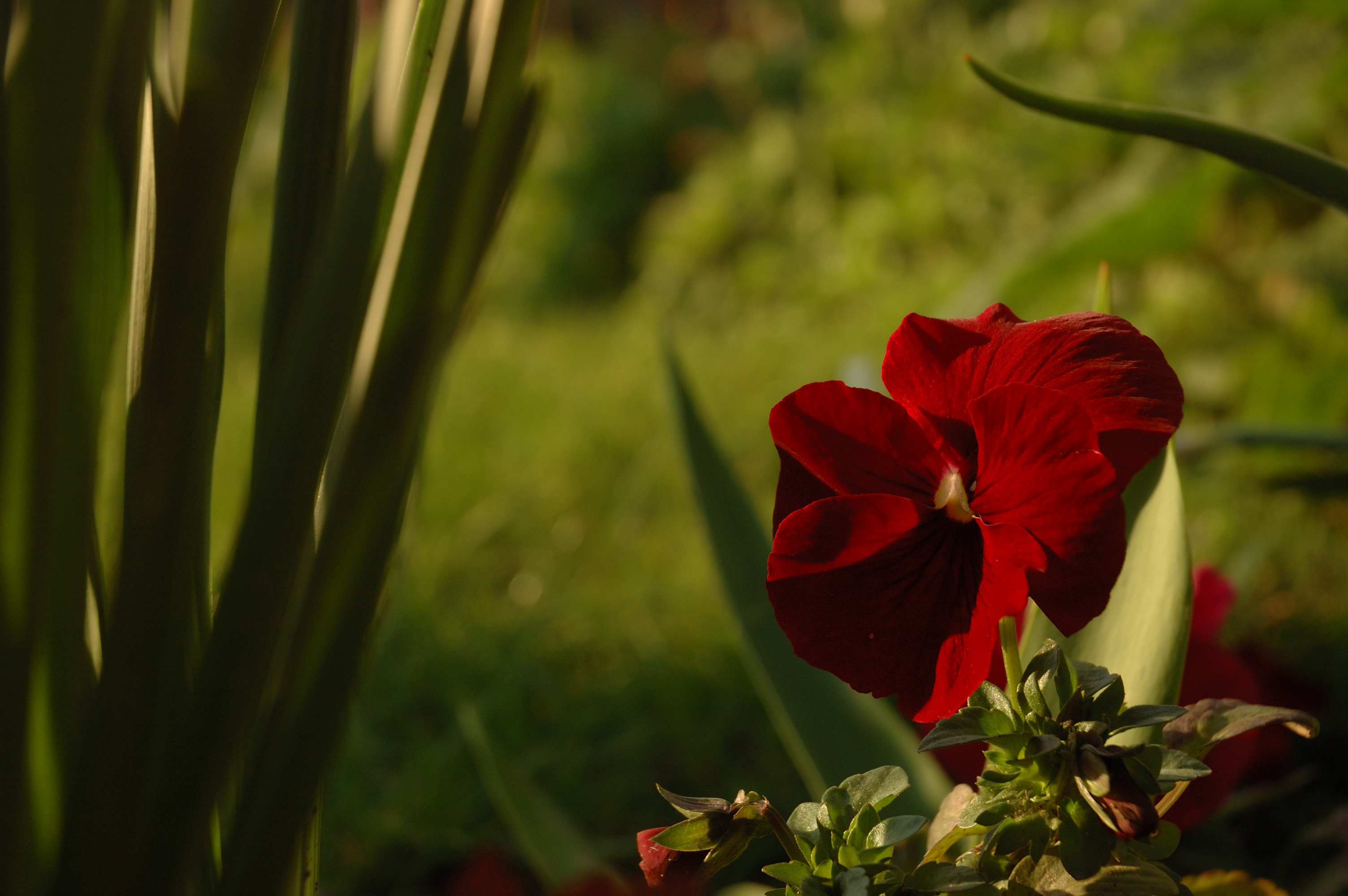 Flore de Bercy 9
