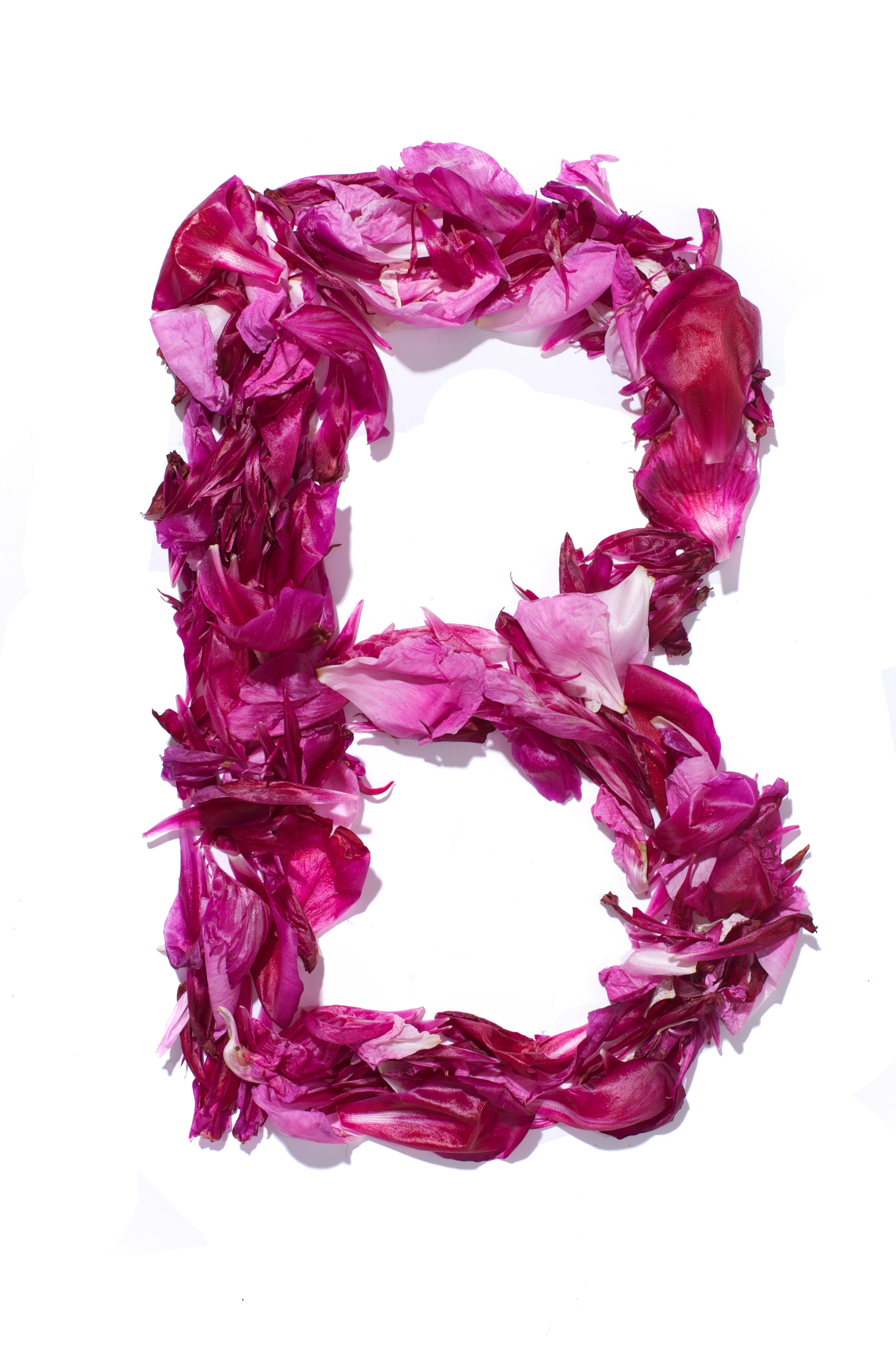 Flower Alphabet - B