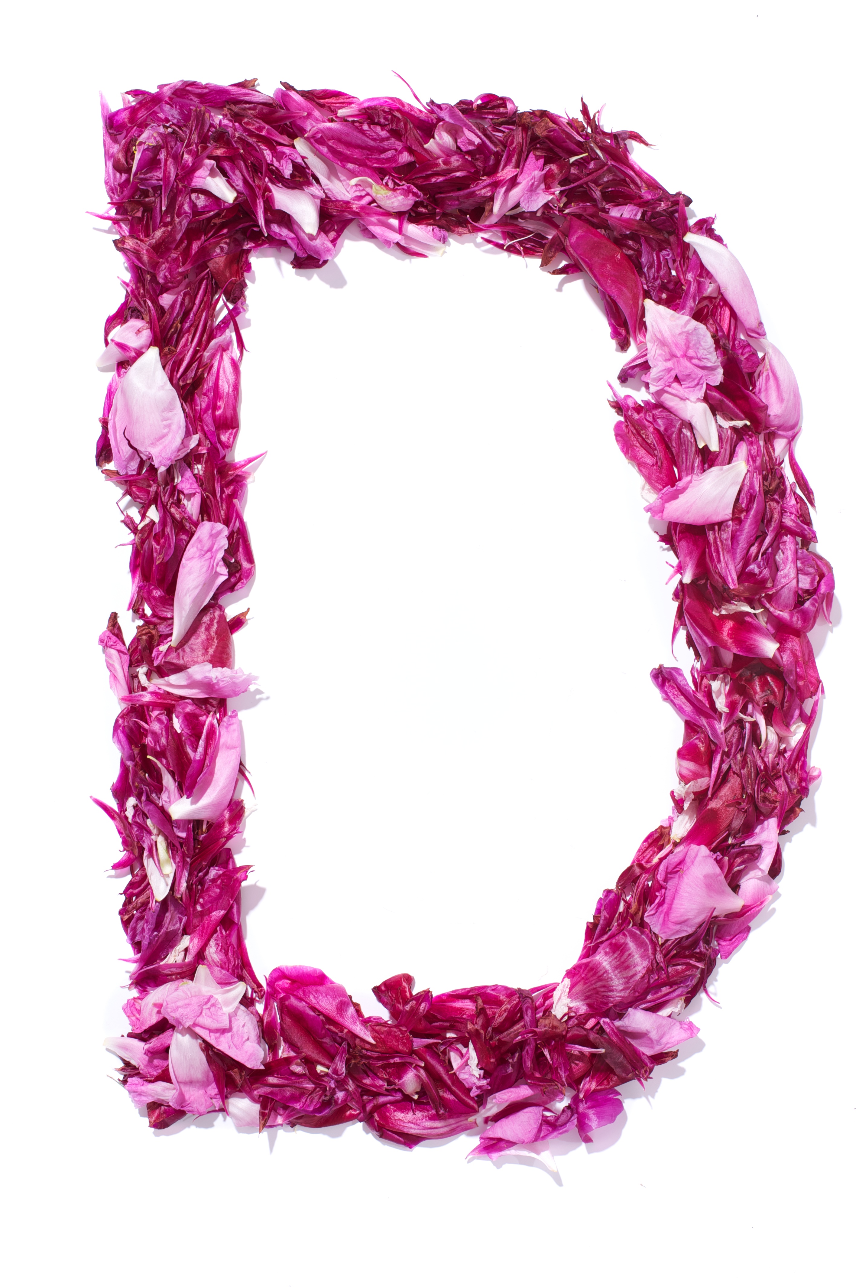 Flower Alphabet - D