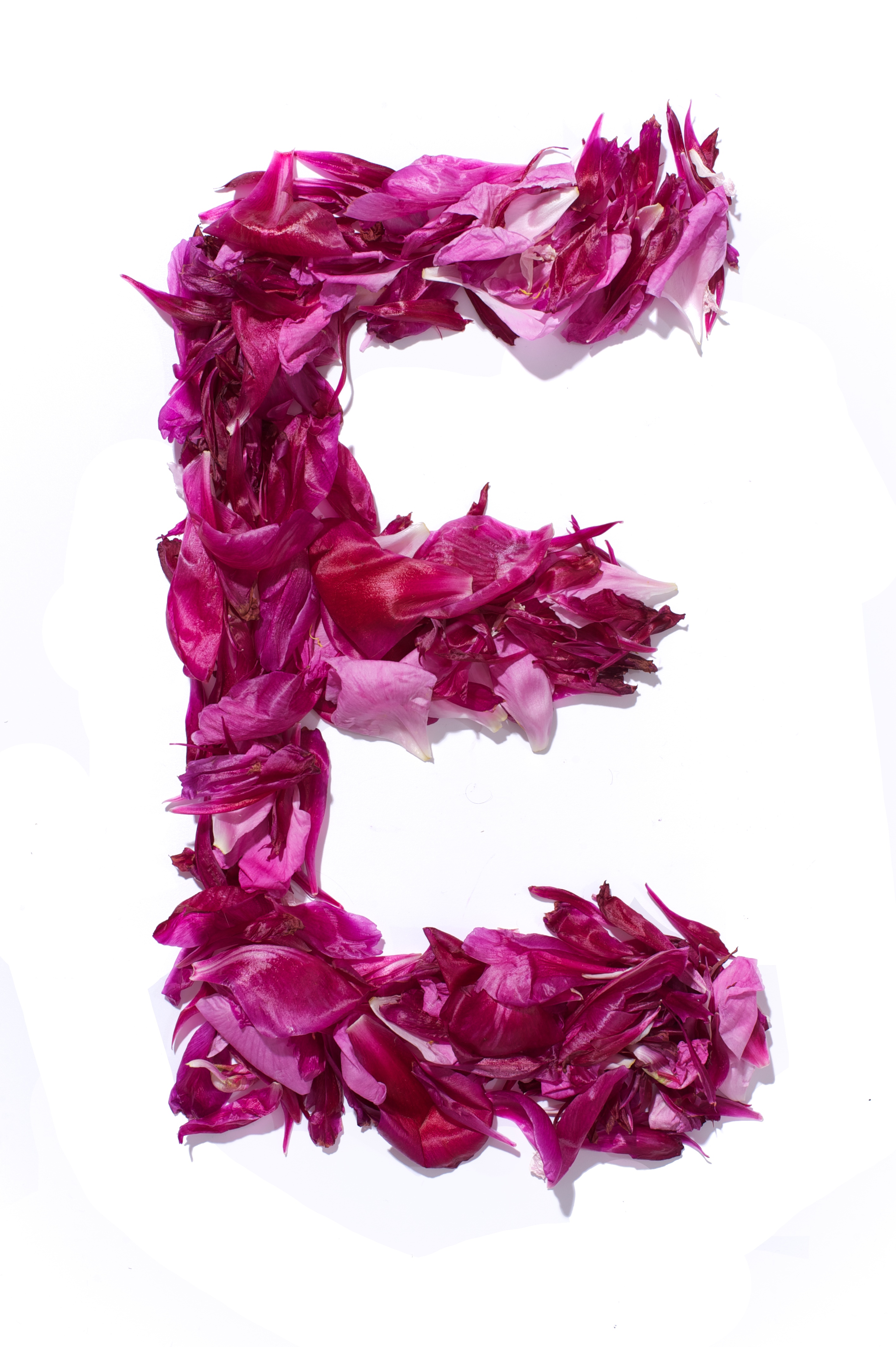 Flower Alphabet - E 