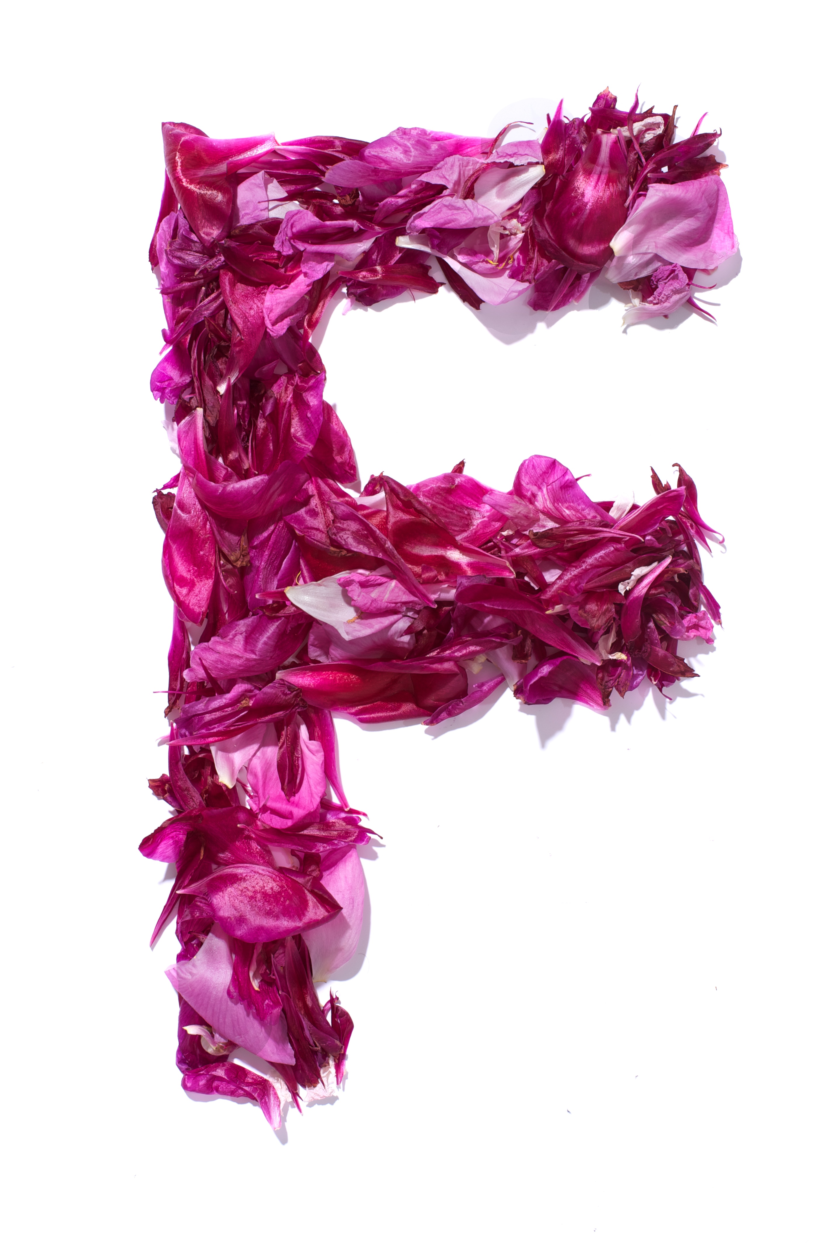 Flower Alphabet - F