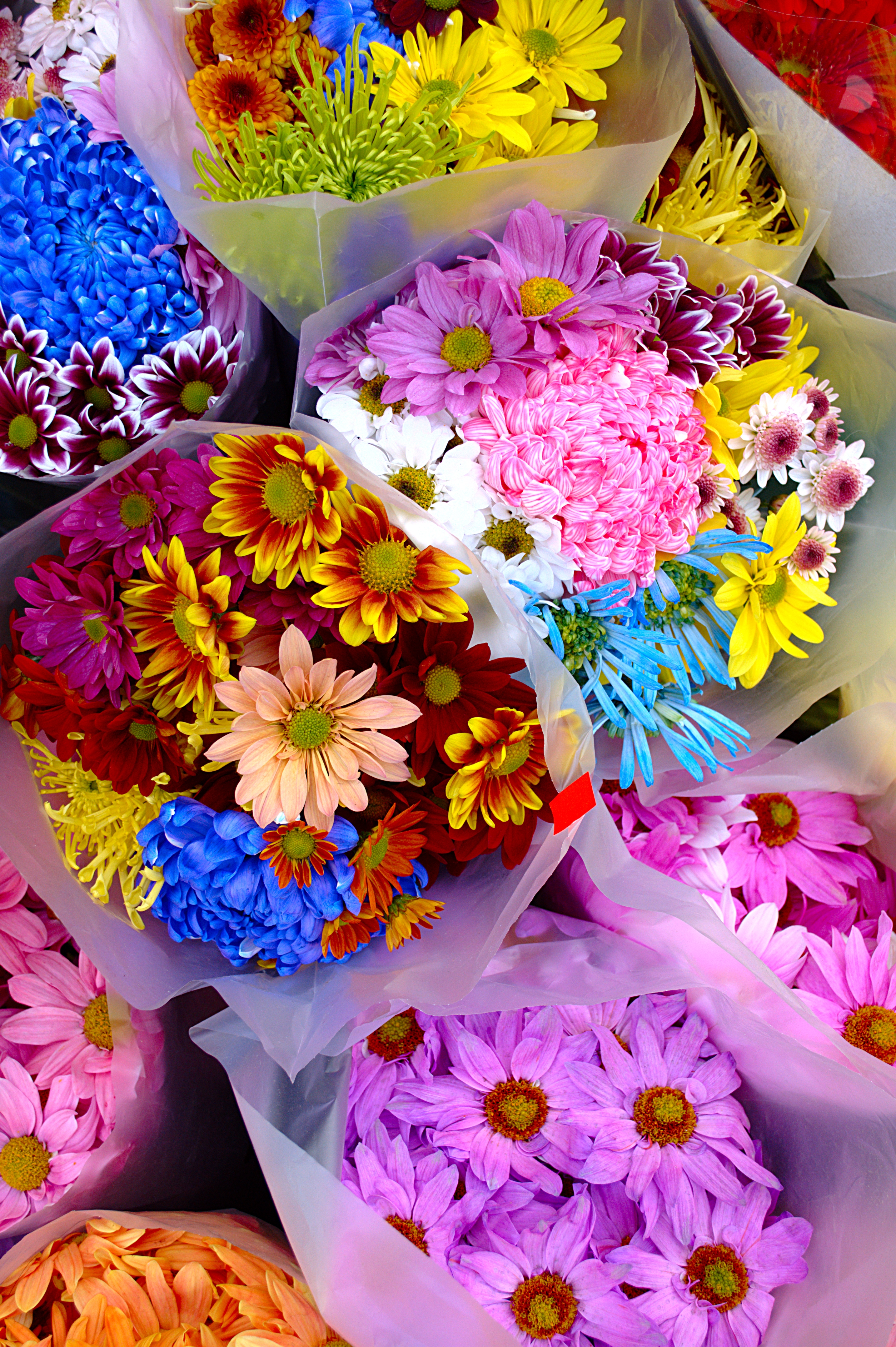 Flowers at fruit market on Queen Street