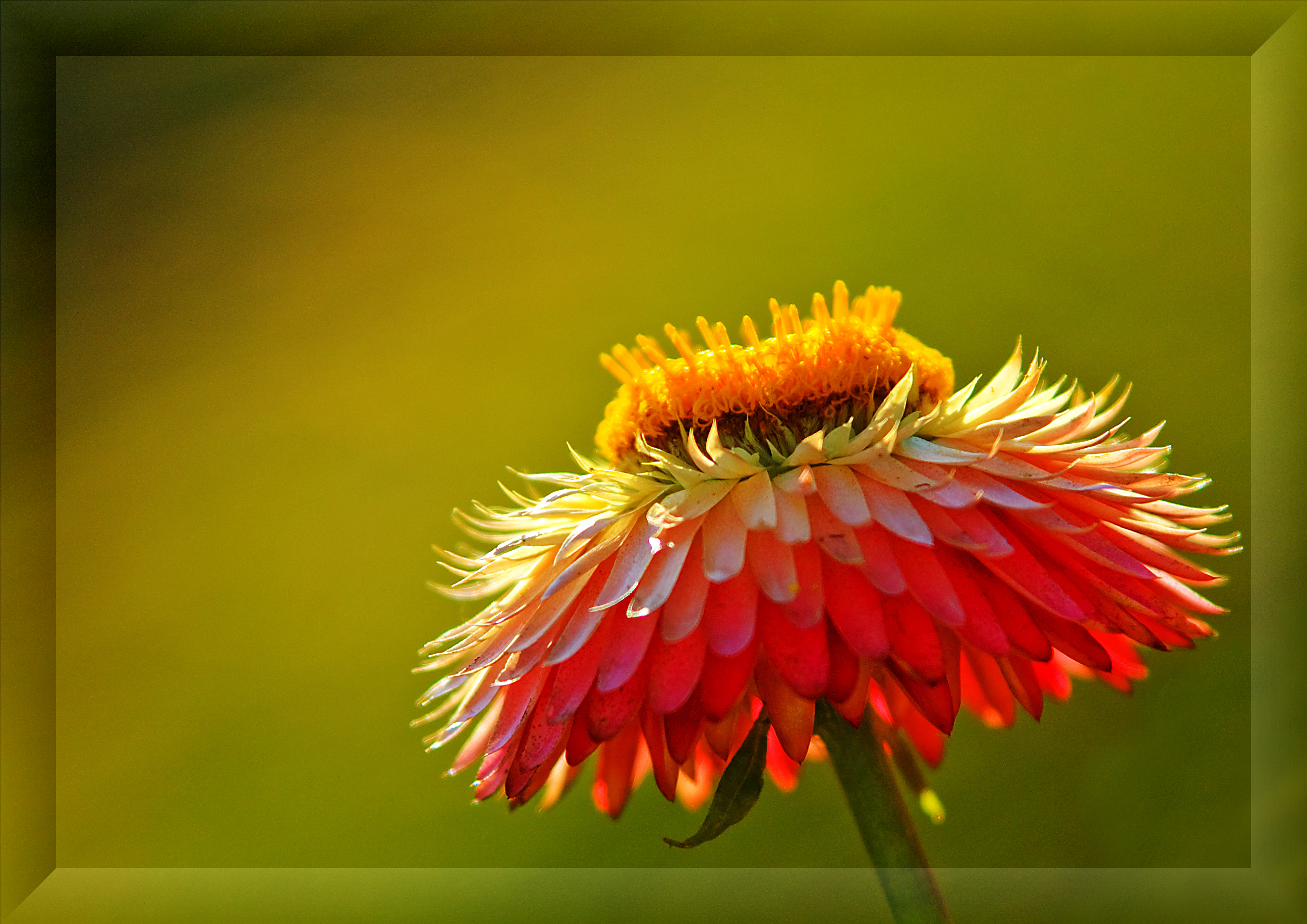 Herbst (1468769613)