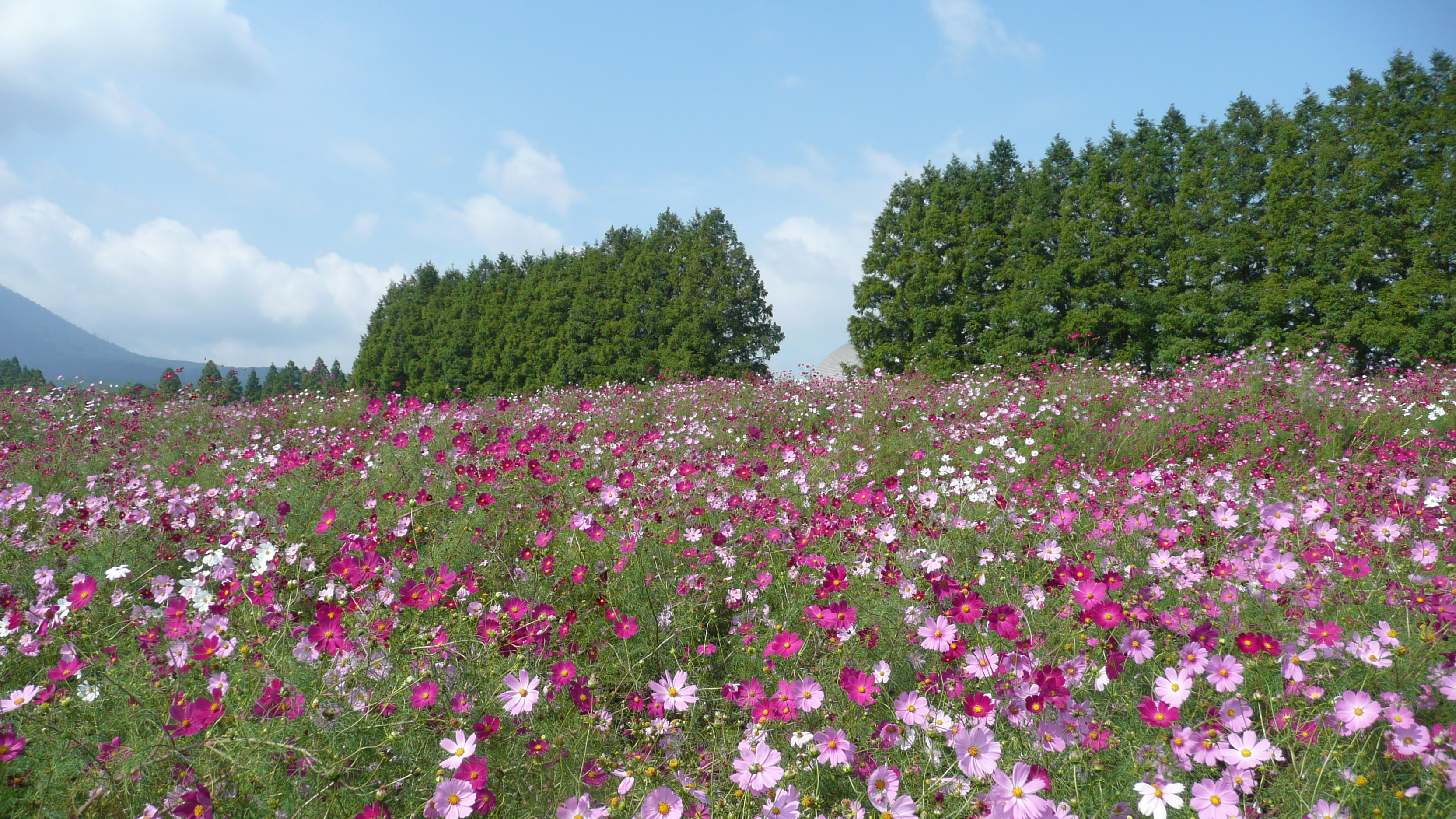 Ikoma Plateau 200810 01