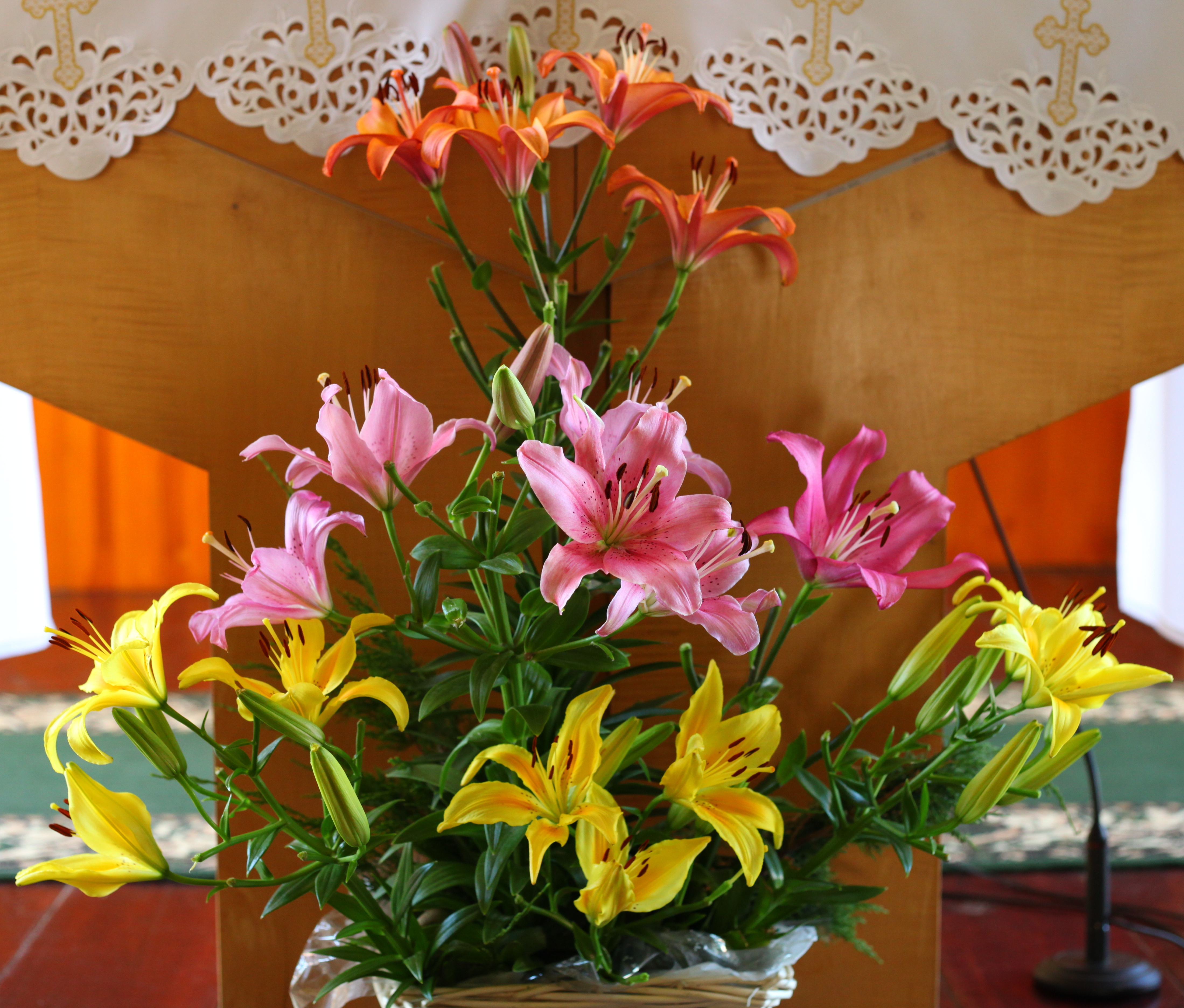 Pink, yellow and orange lily flowers